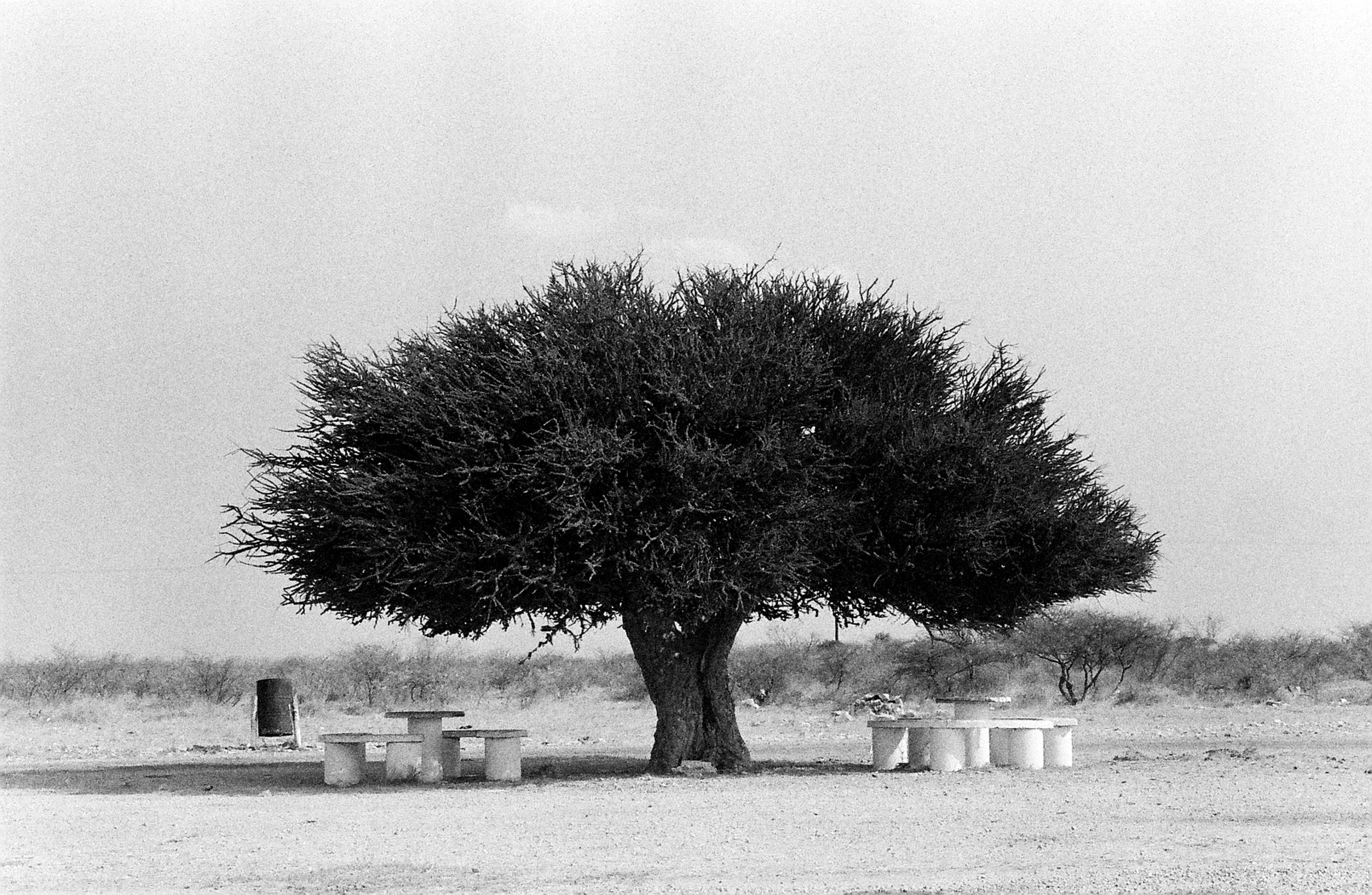 Toast Coetzer deel filmfoto's uit sy reisargiewe