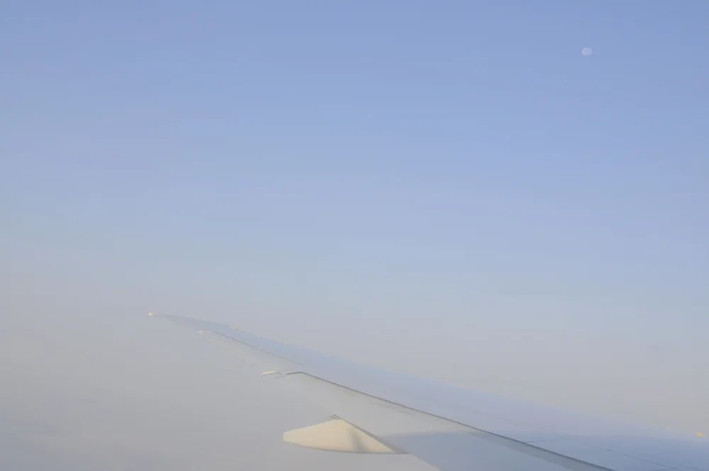 live-seasoned-fall15-international-flight3.jpg