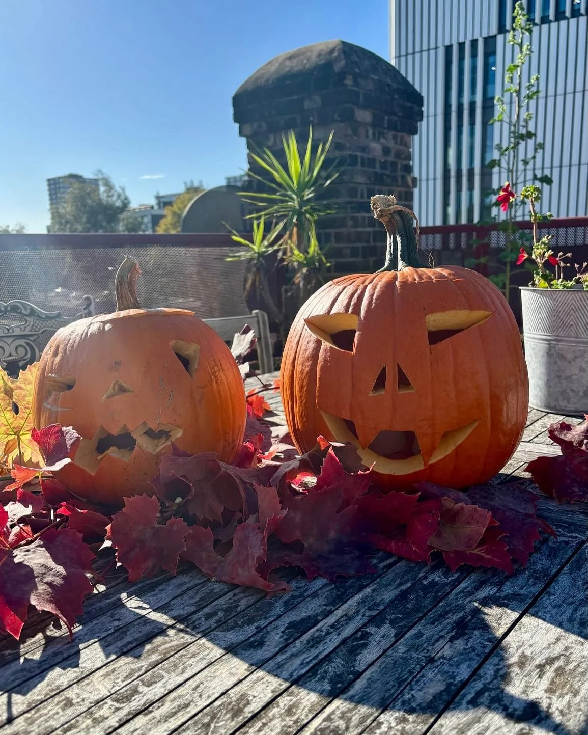 Pilates, pumpkins, and a whole lot of Pi-lates love this Halloween week! 🎃🍁🧡