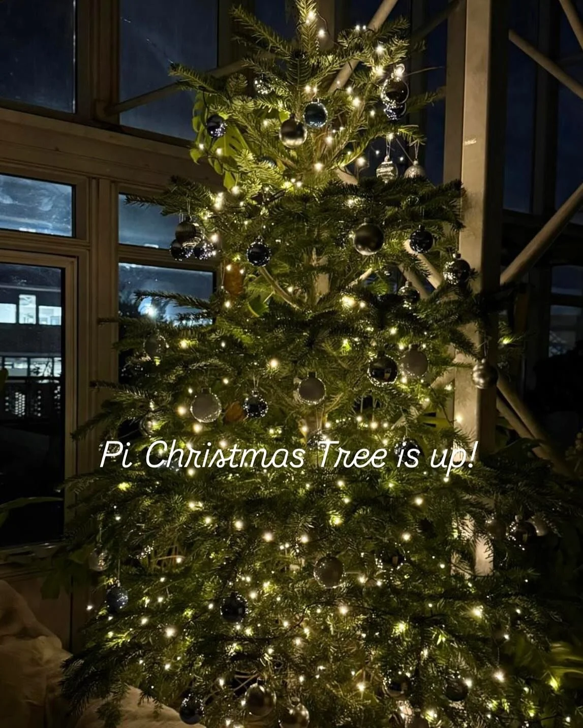 1.Christmas tree lit up at PI ✨
2.Johnny &amp; Holly picking out the perfect PI Christmas tree 🪵🌲
3.Holly driving home&hellip; tiny car, BIG tree 🚗🌲
4.PI apprentices, teachers &amp; clients decorating together 
5.The cutest little mouse bauble ev