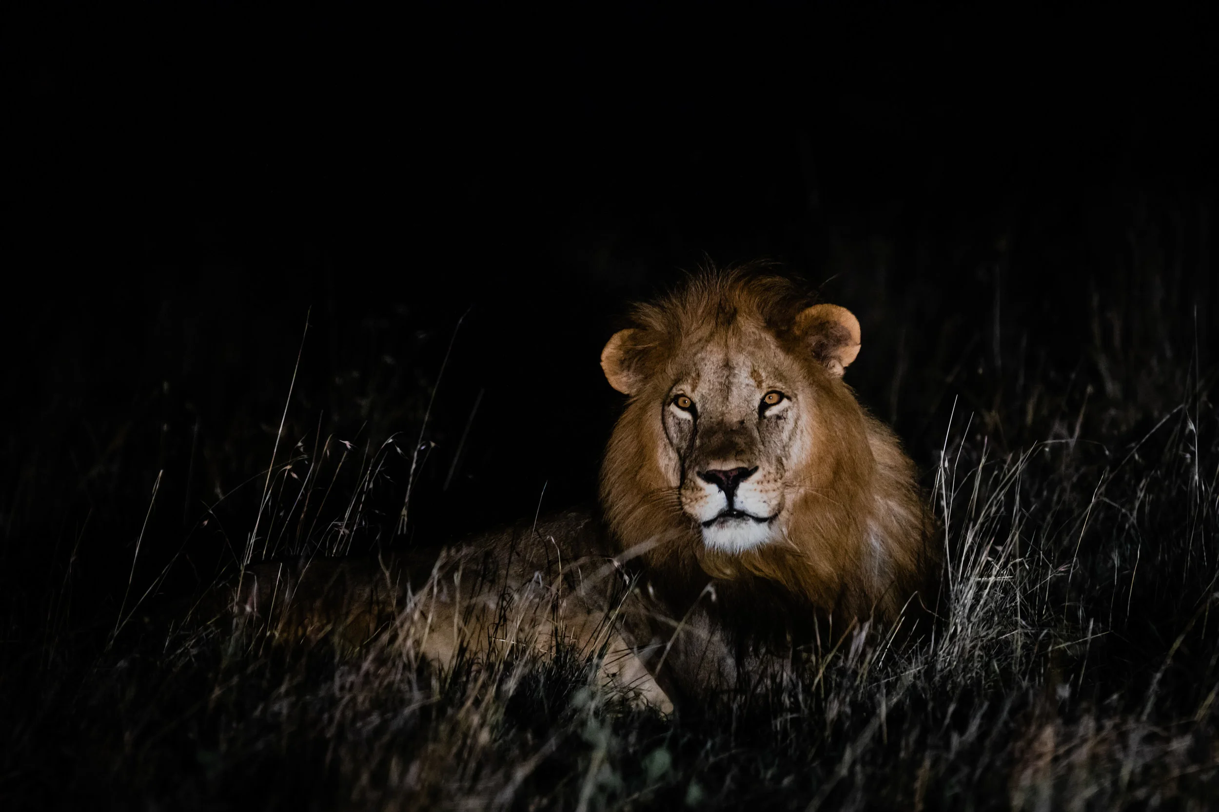 © Jeremy Goss
