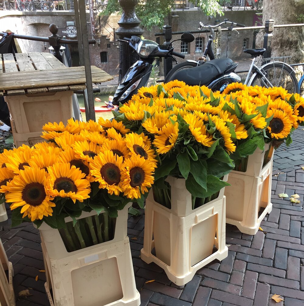 Utrecht flower market.jpg