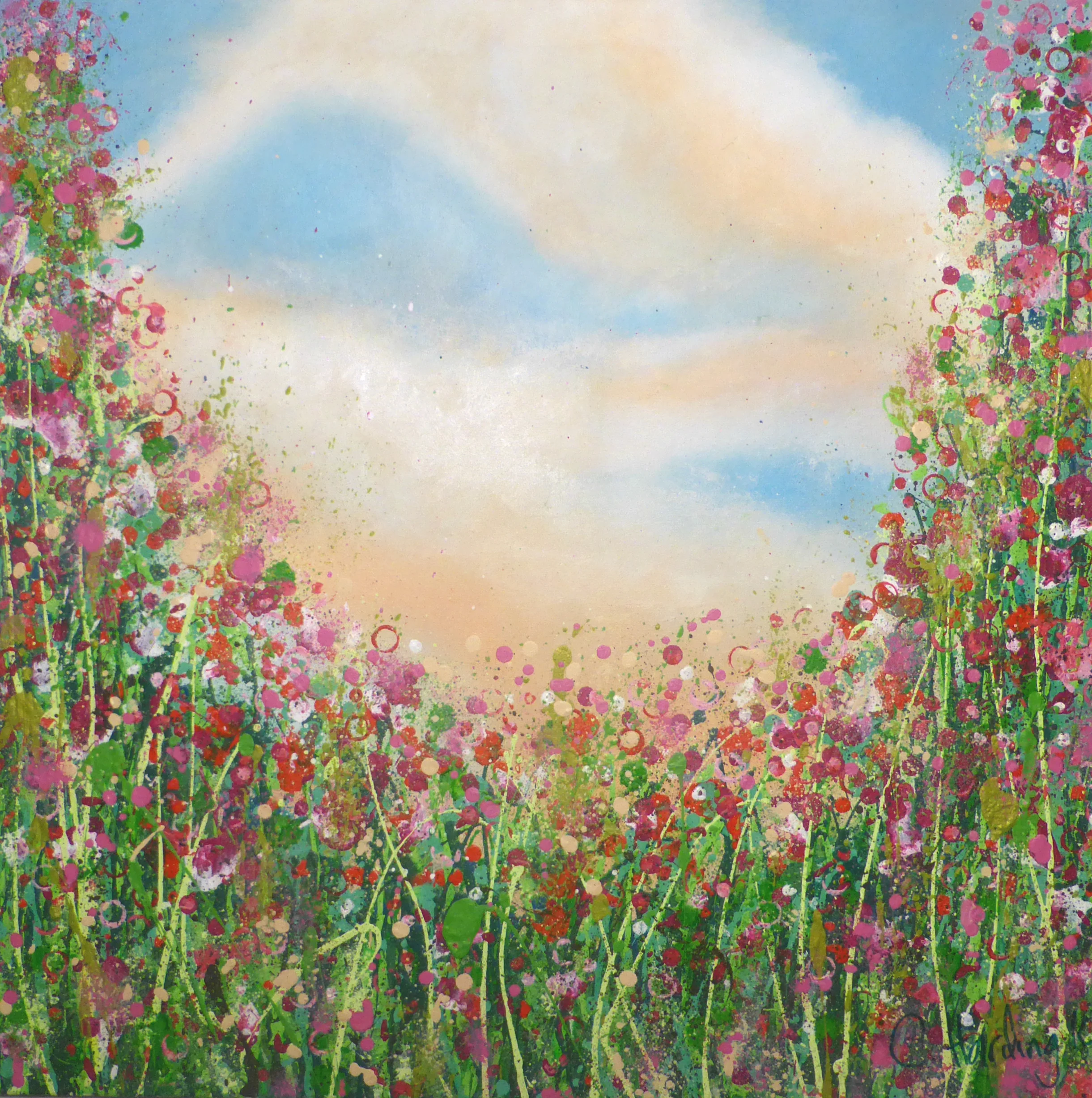 SUMMER DREAMS