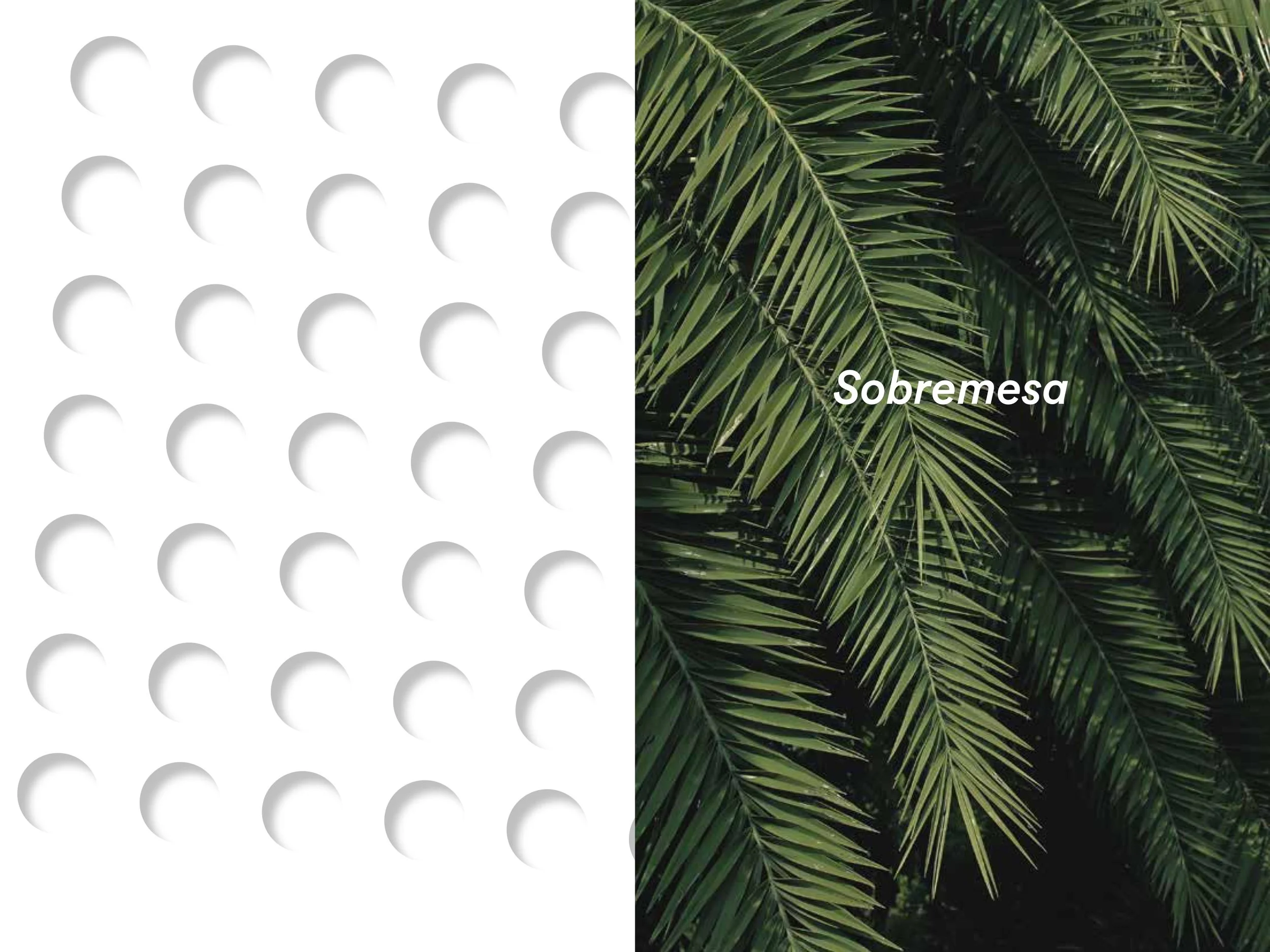 Sobremesa.22NOV 2.jpeg