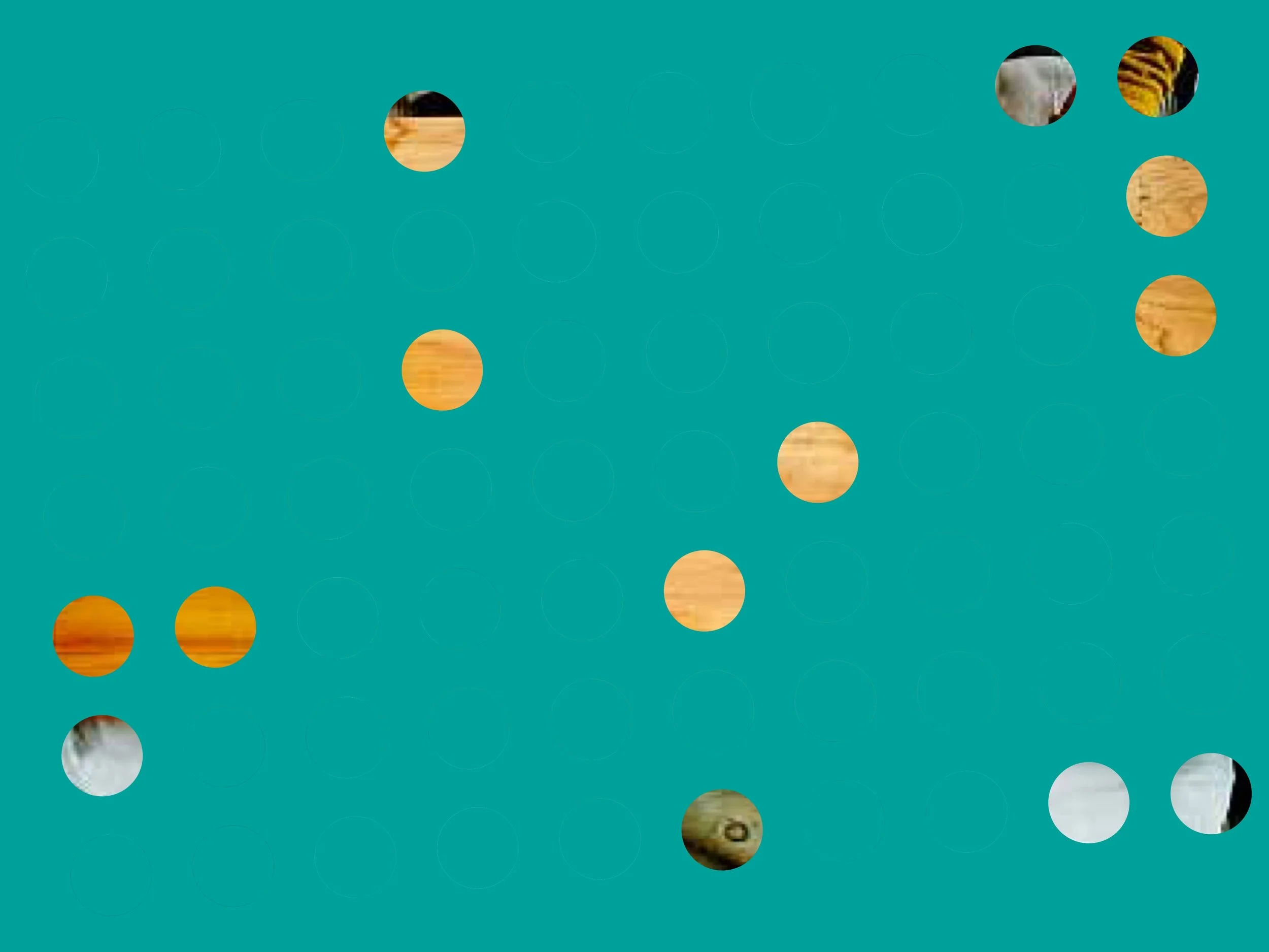 Sobremesa.22NOV 9.jpeg