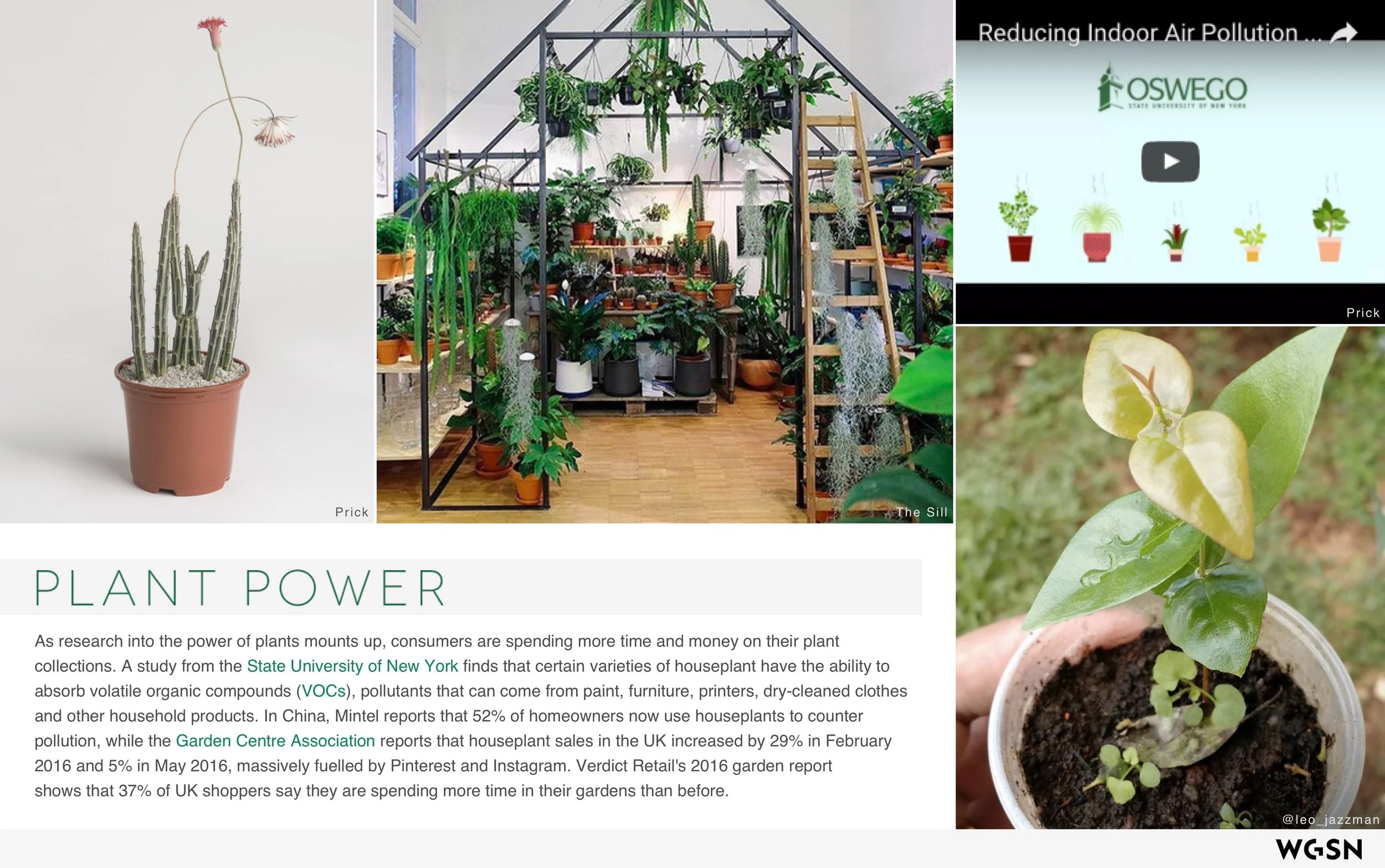 Plants_&_The_Well_Home 3.jpeg