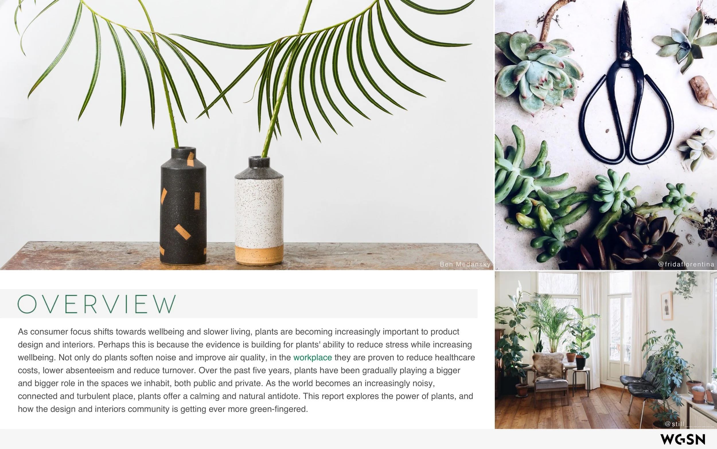 Plants_&_The_Well_Home 2.jpeg