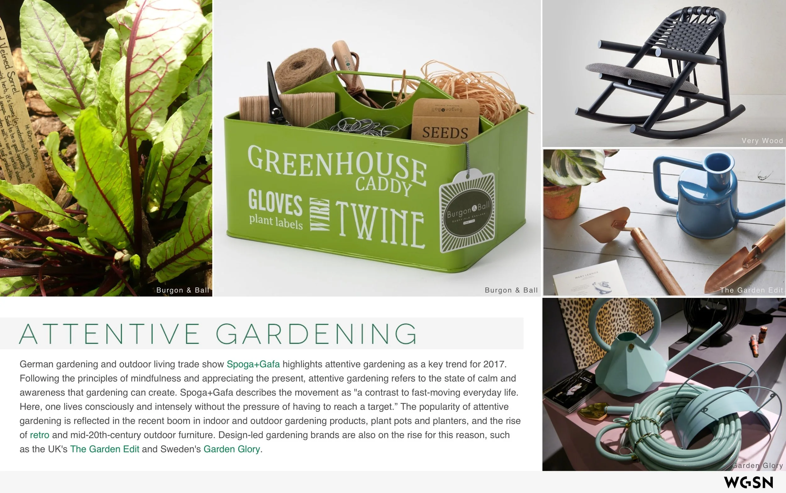 Plants_&_The_Well_Home 4.jpeg