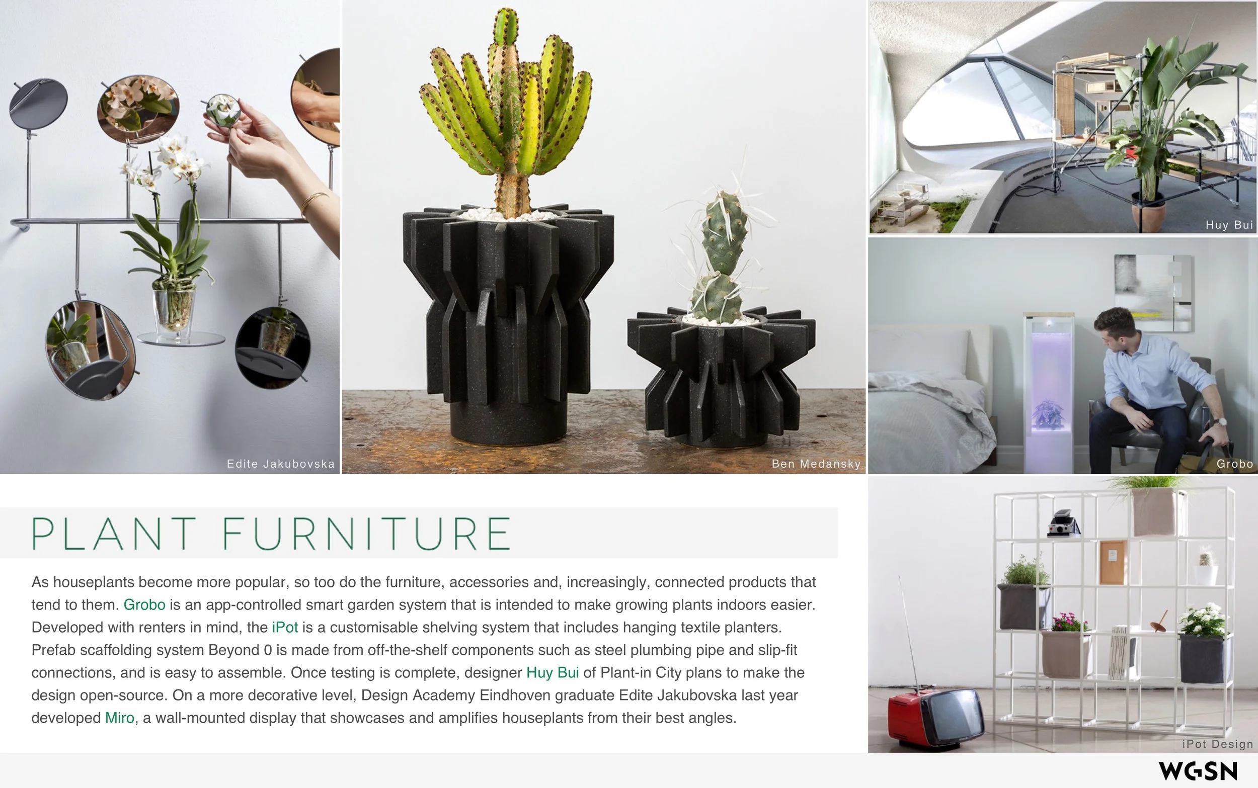 Plants_&_The_Well_Home 6.jpeg