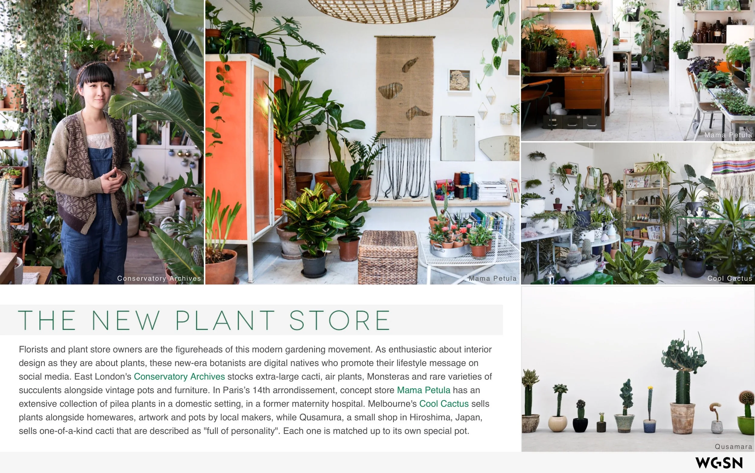 Plants_&_The_Well_Home 7.jpeg