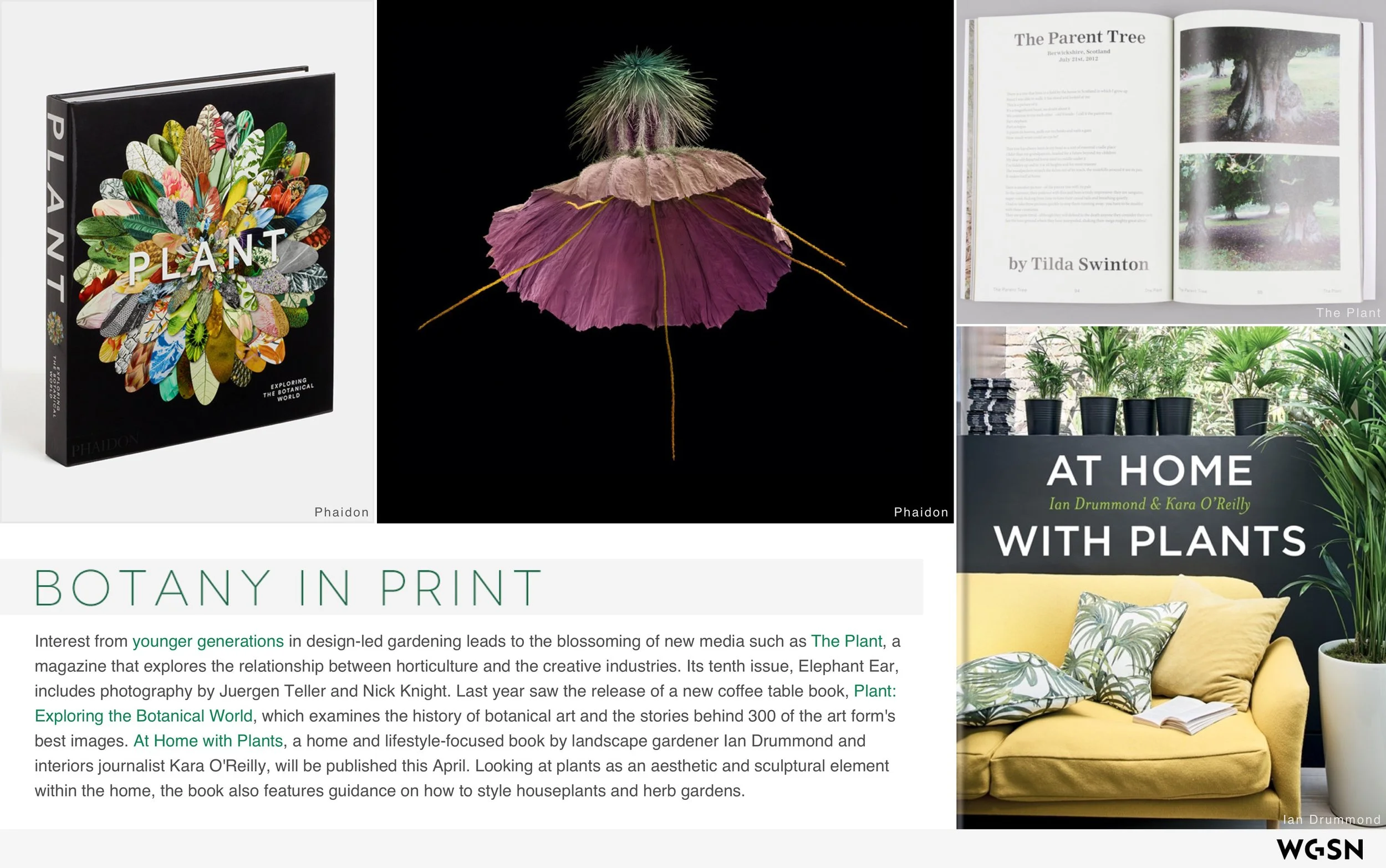 Plants_&_The_Well_Home 8.jpeg