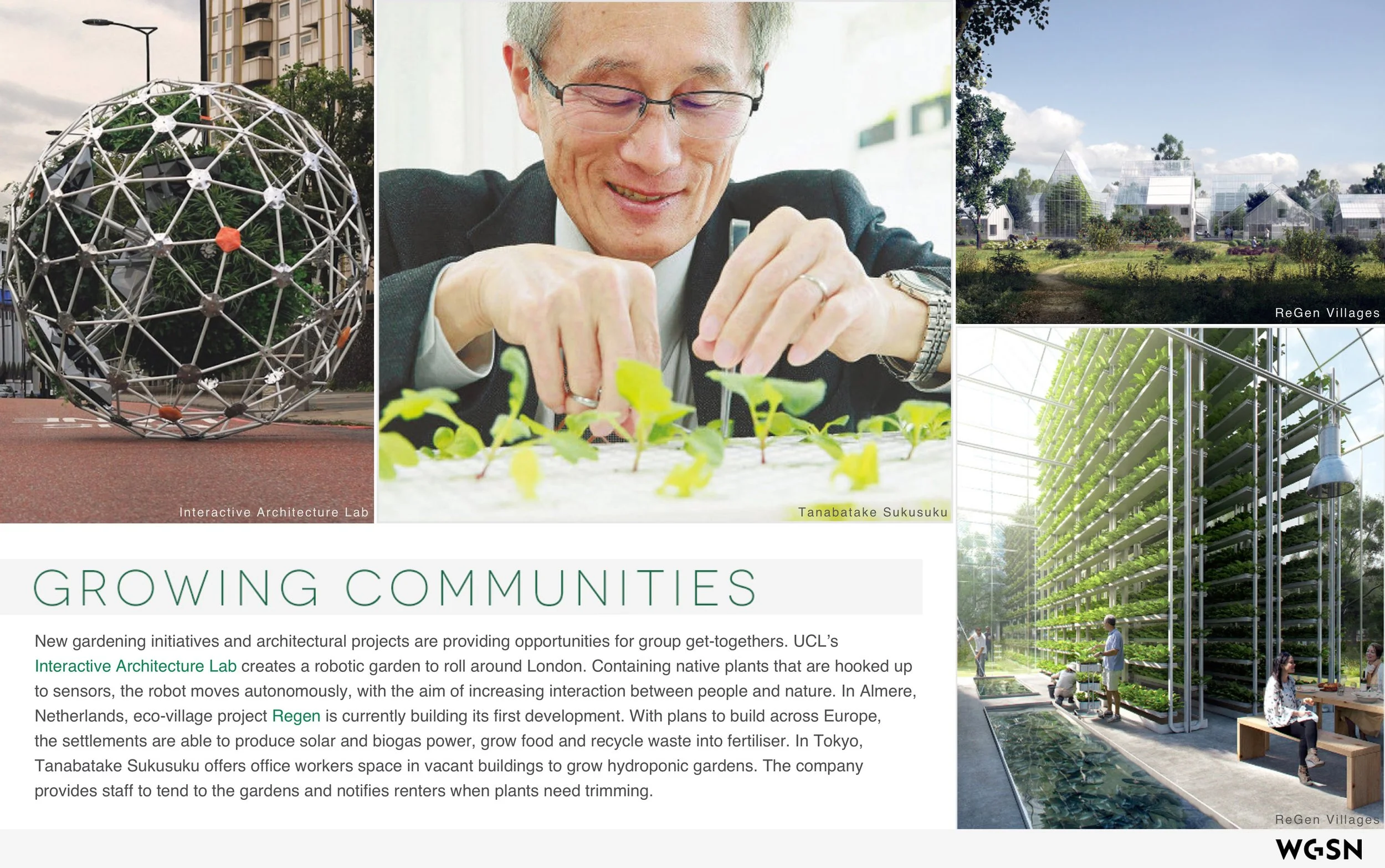 Plants_&_The_Well_Home 9.jpeg