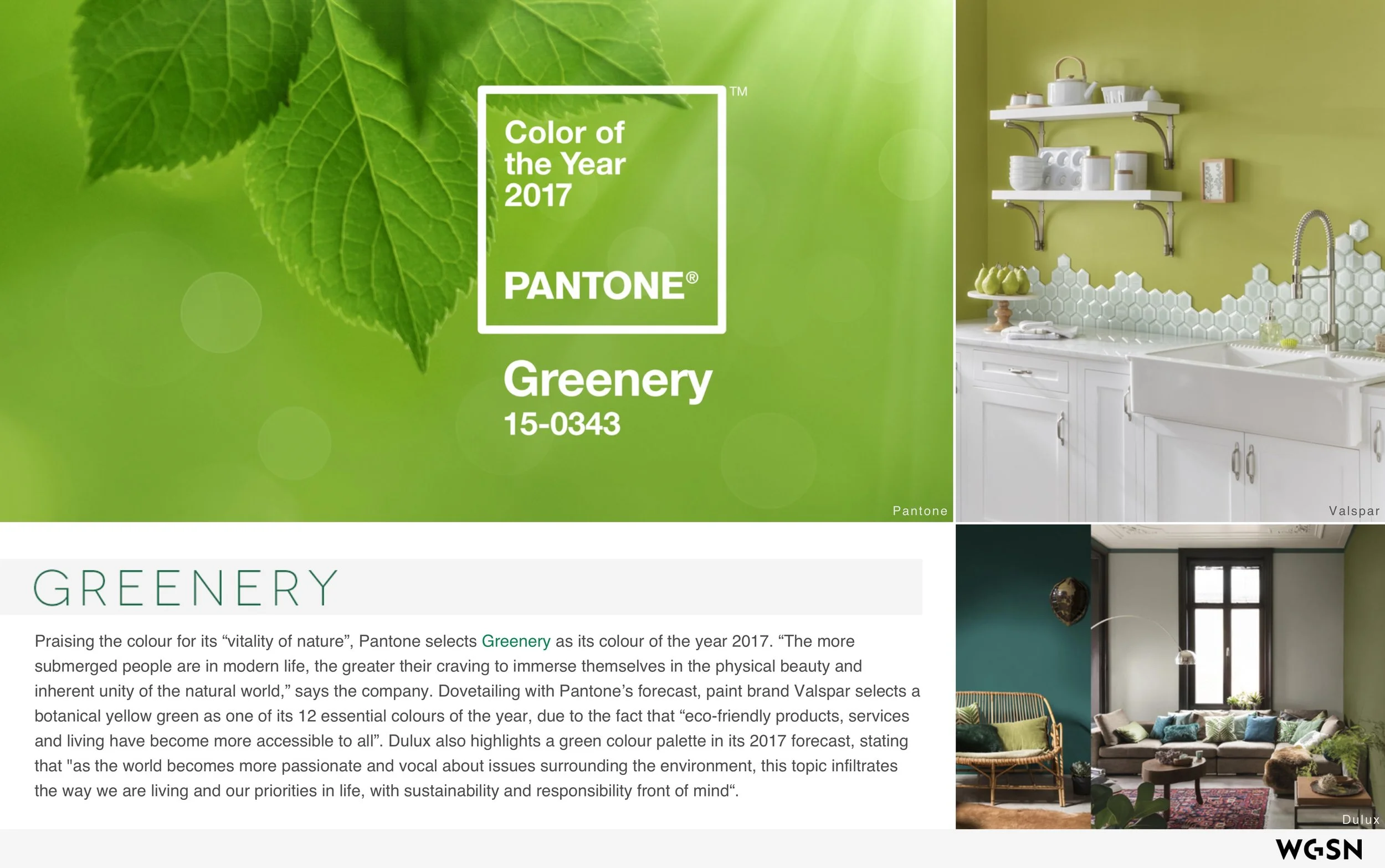 Plants_&_The_Well_Home 10.jpeg