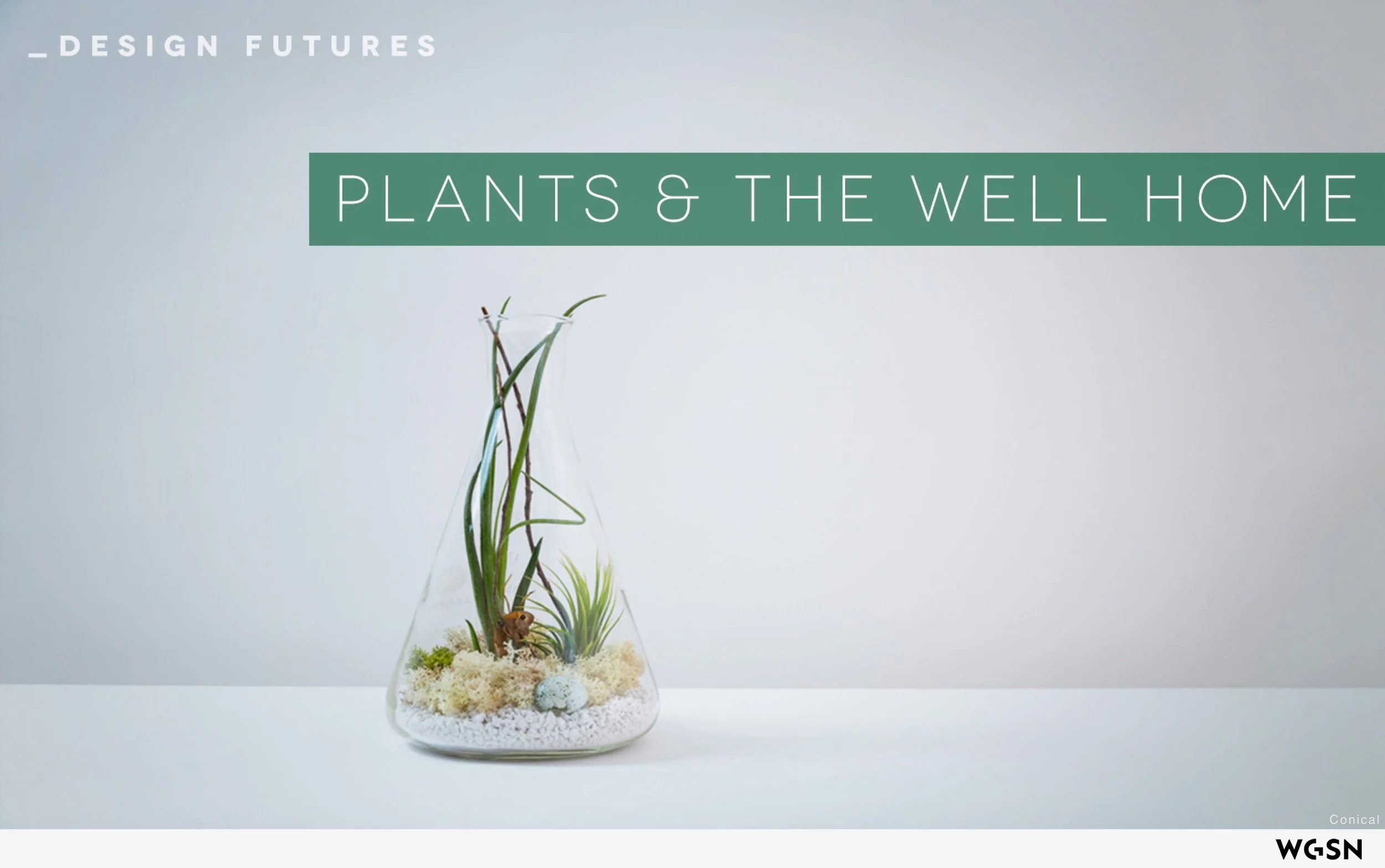 Plants_&_The_Well_Home.jpeg