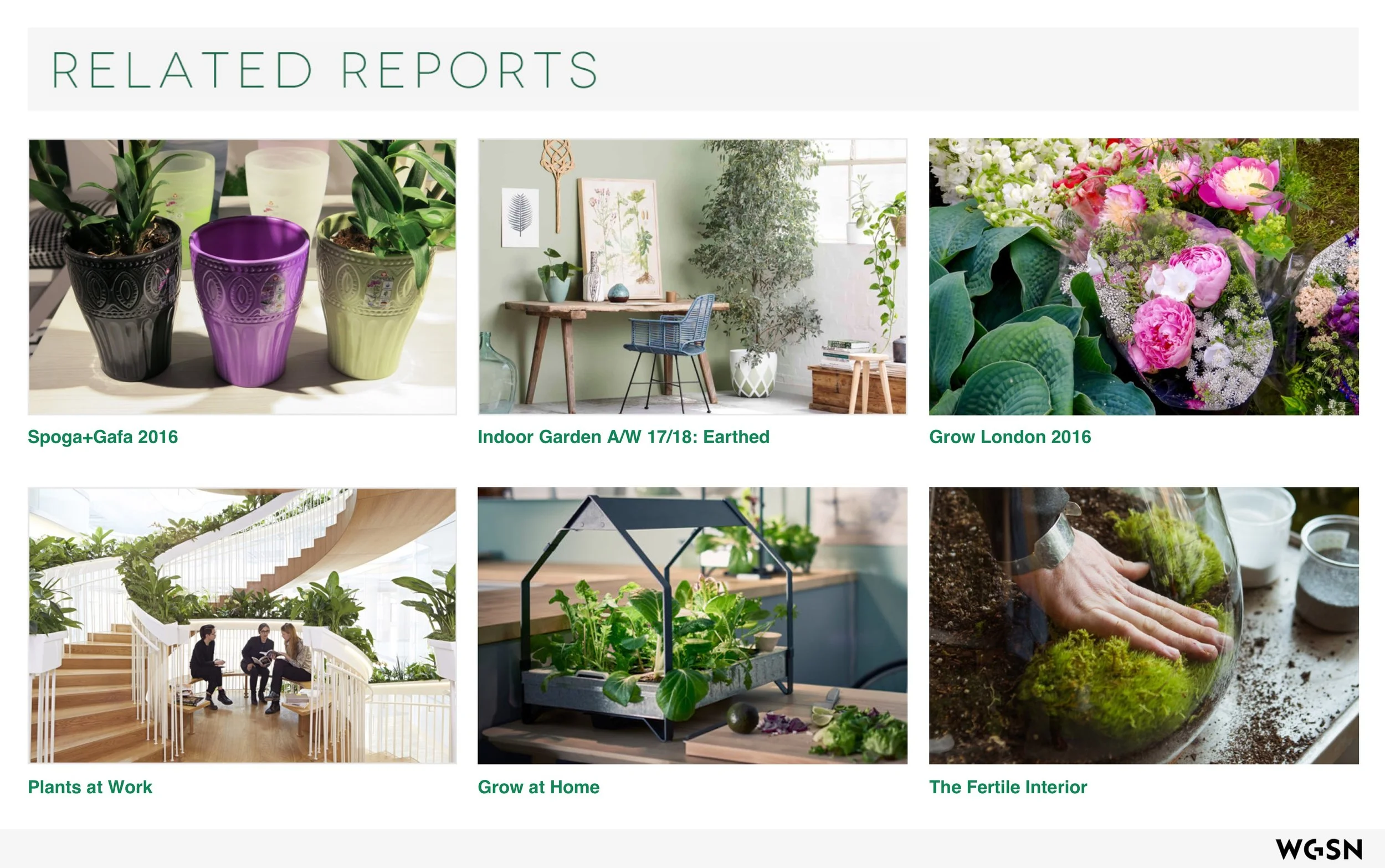 Plants_&_The_Well_Home 11.jpeg