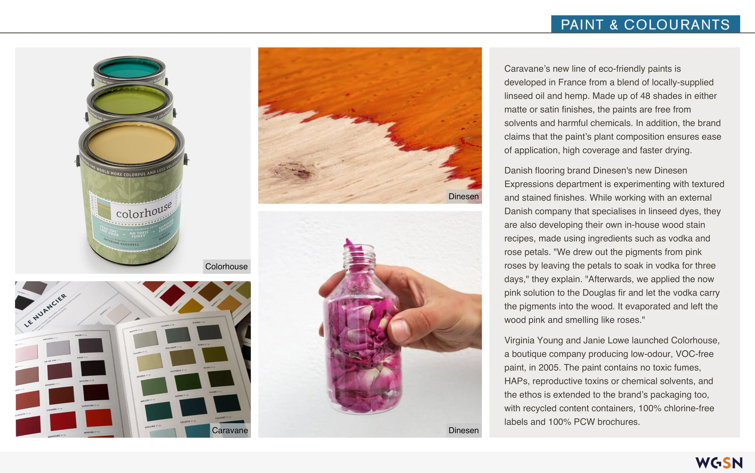 The_Healthy_Home 5.jpeg