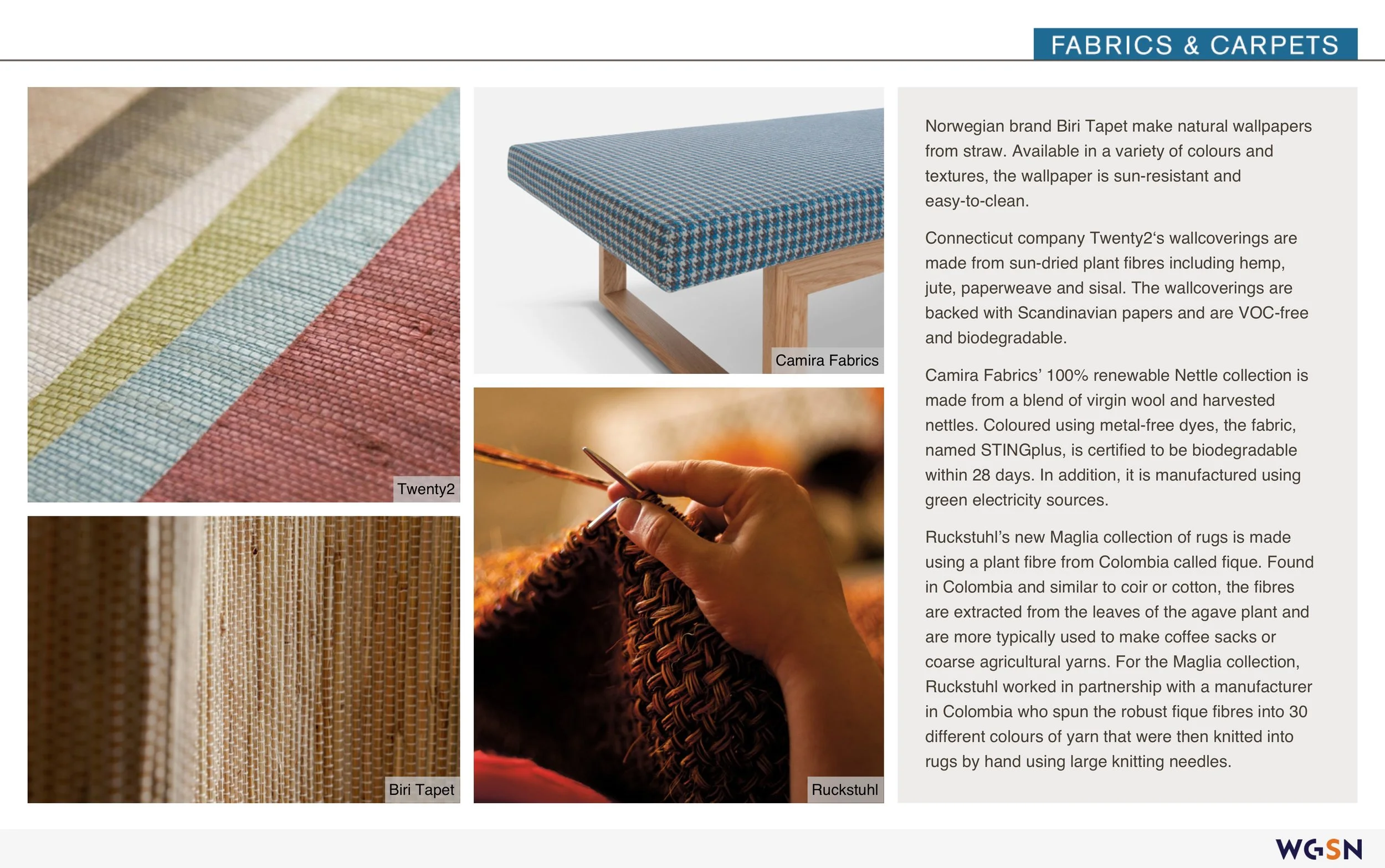 The_Healthy_Home 7.jpeg