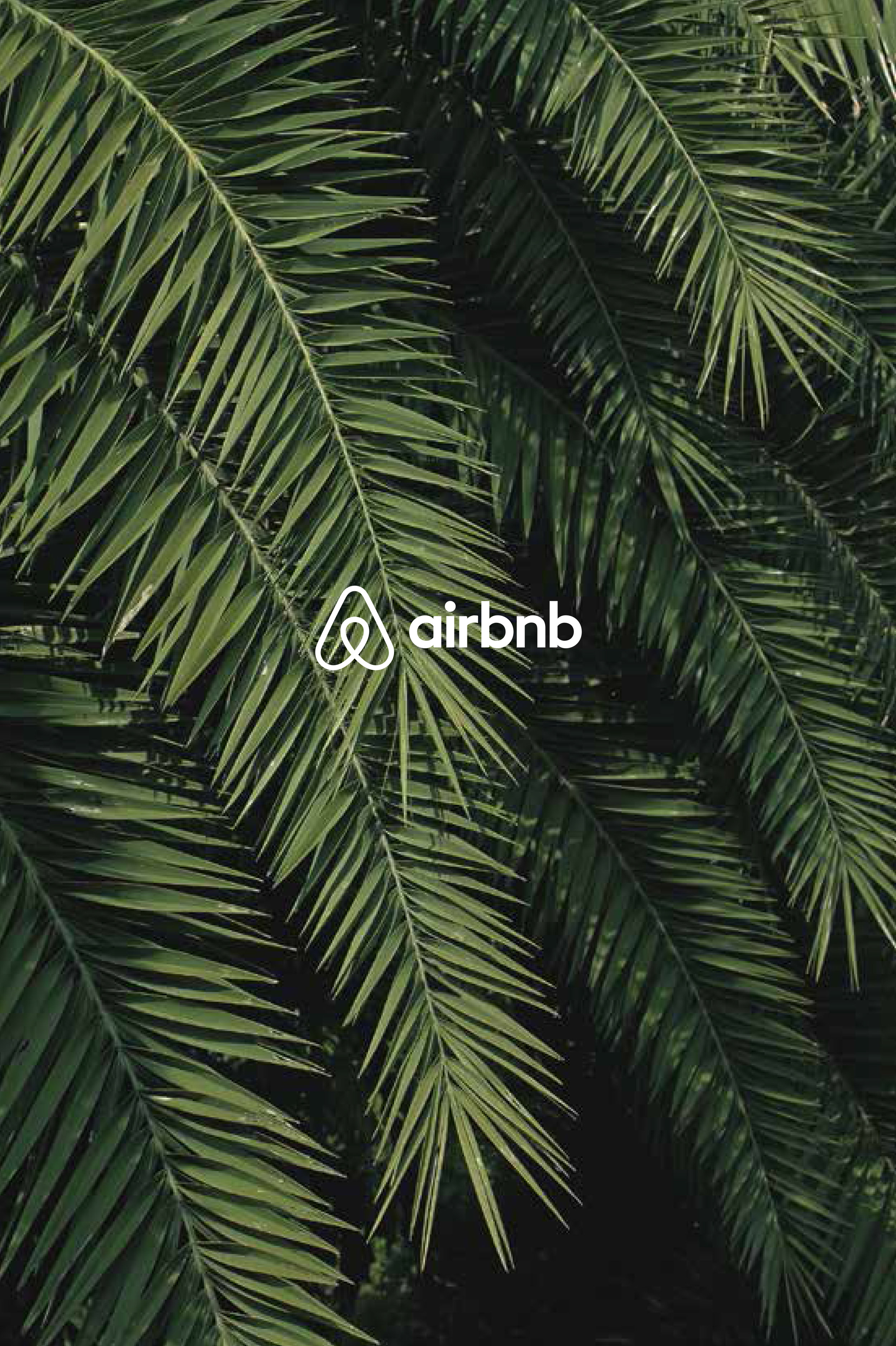 Pedro&Juana_x_airbnb_Cover.jpg