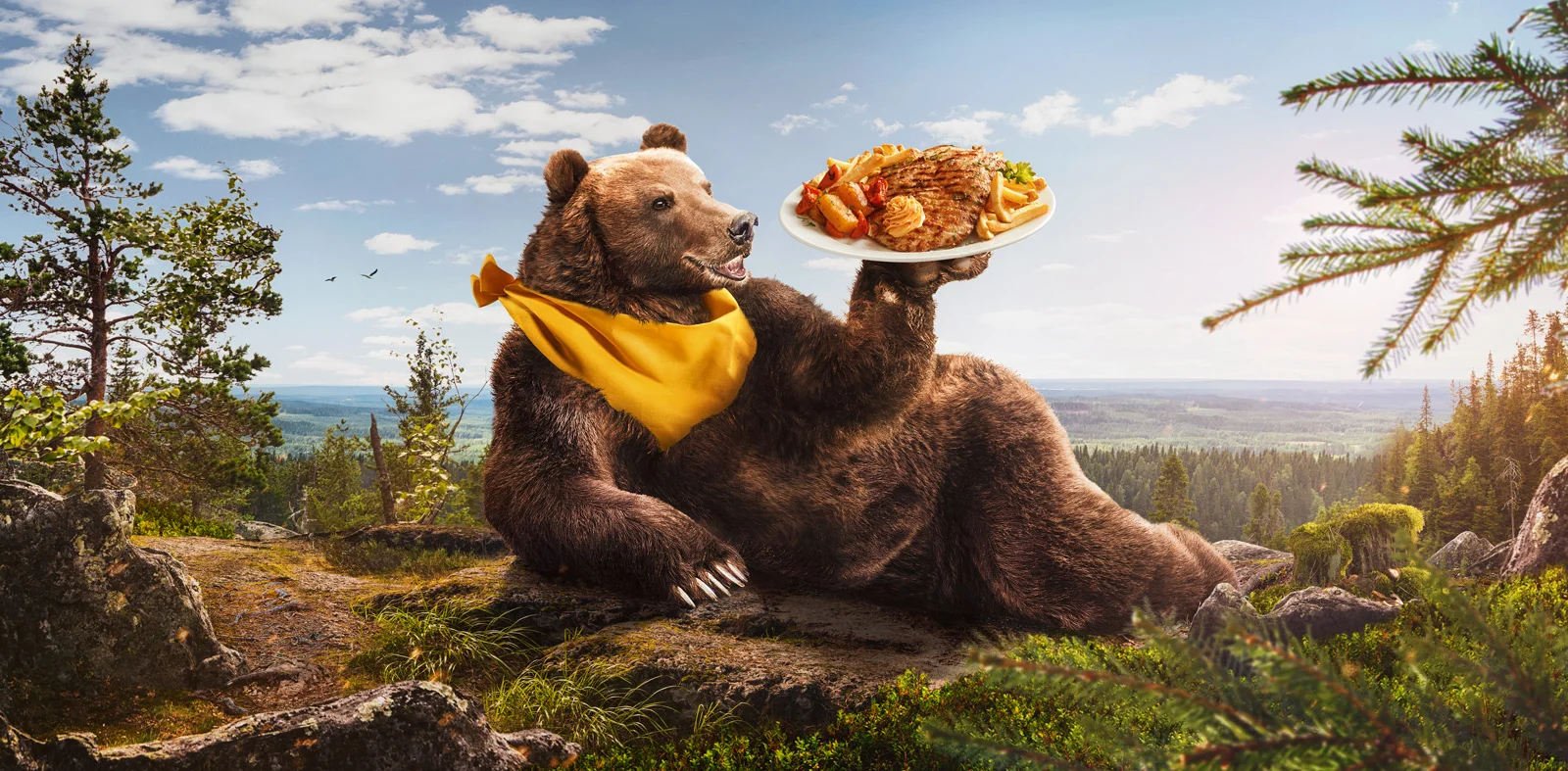 ABC Bear