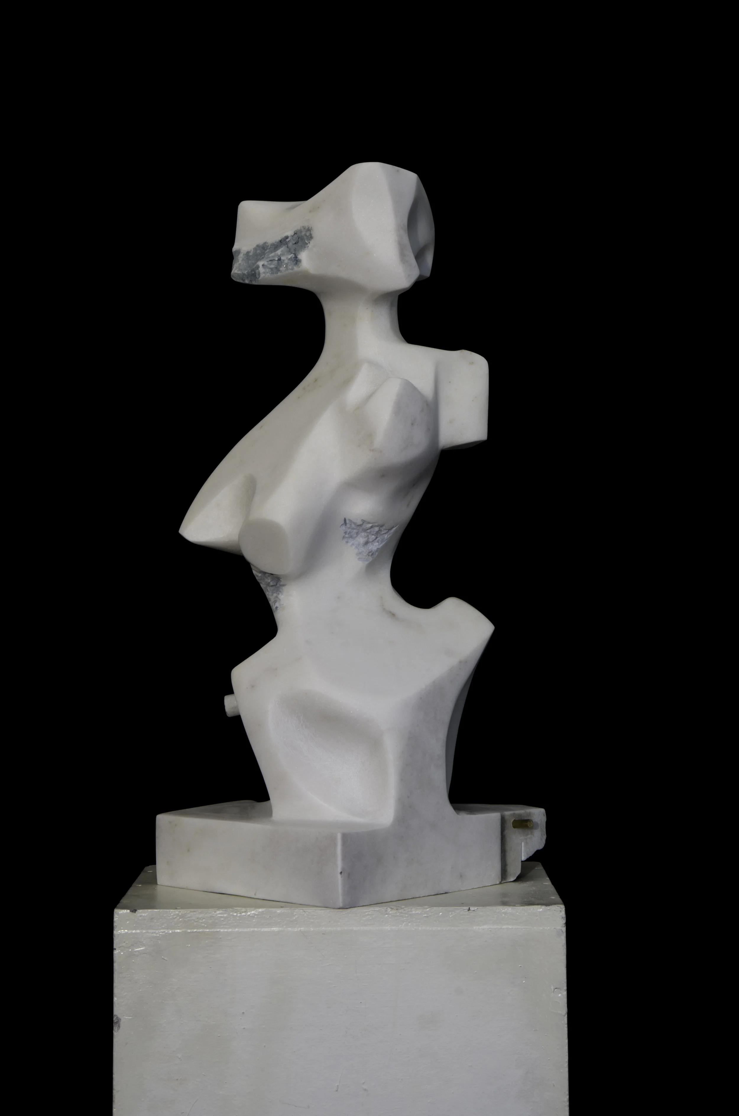   Vene-Rex   Carrara marble 