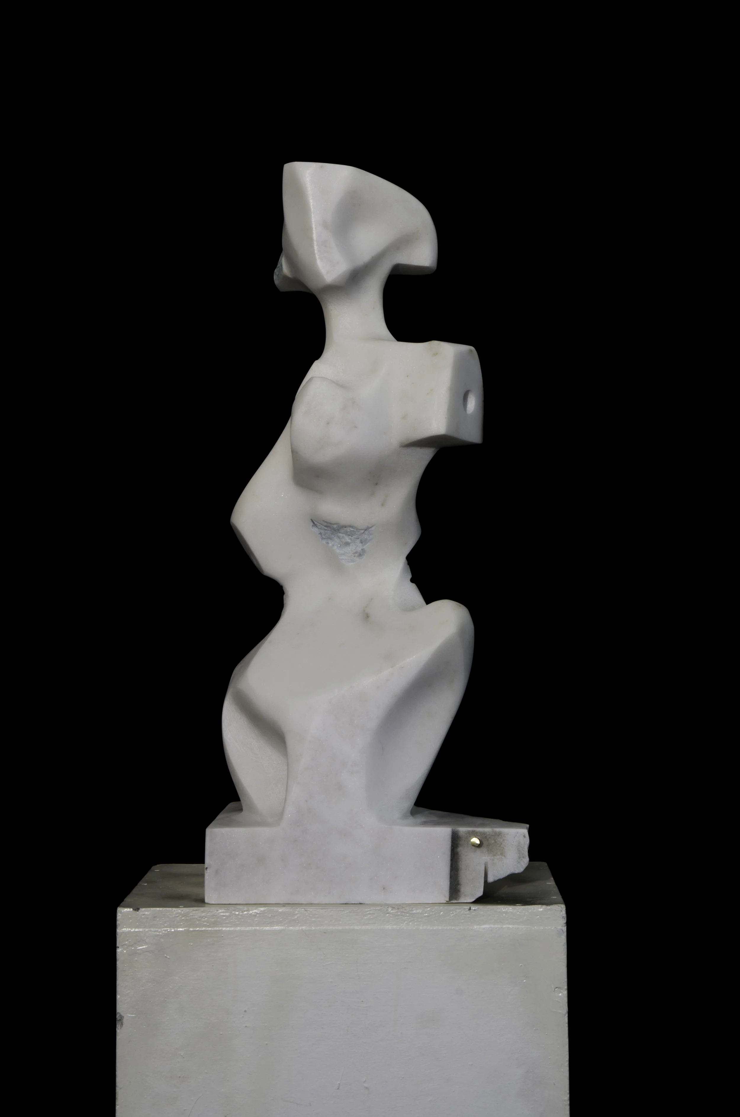   Vene-Rex   Carrara marble 