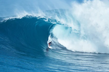 Living Fearlessly: Pursue Your Passion