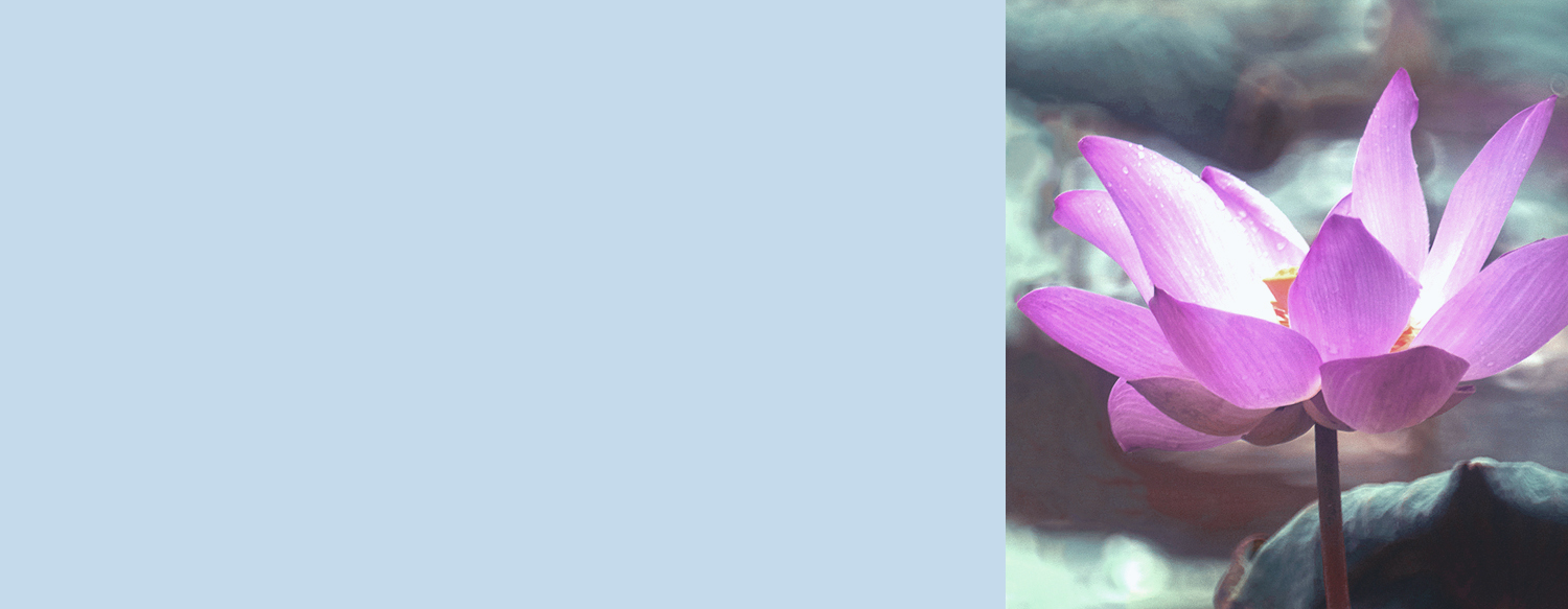 heart_mind_yoga_ottawa_private_classes.jpg