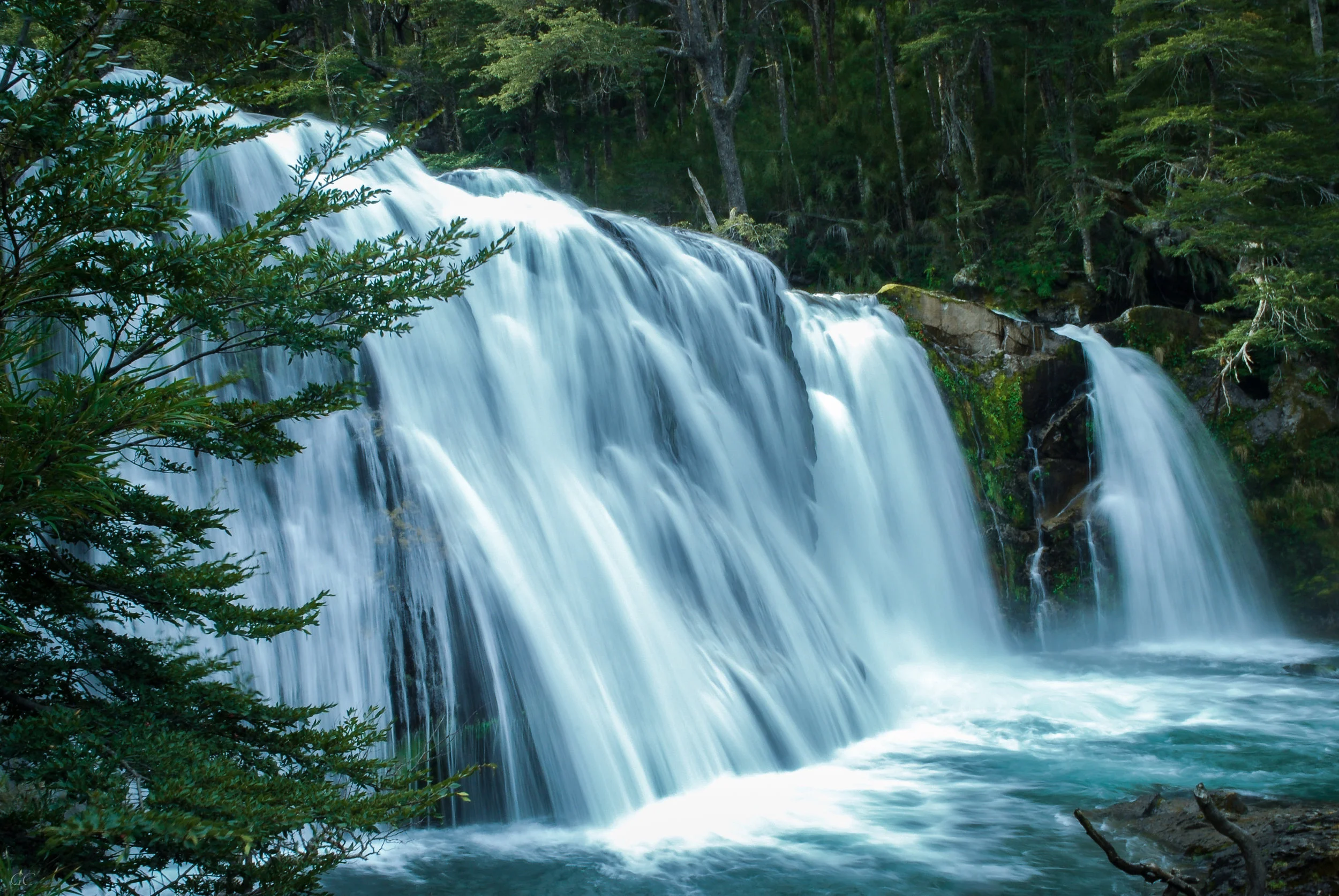 DSC_1041.jpg