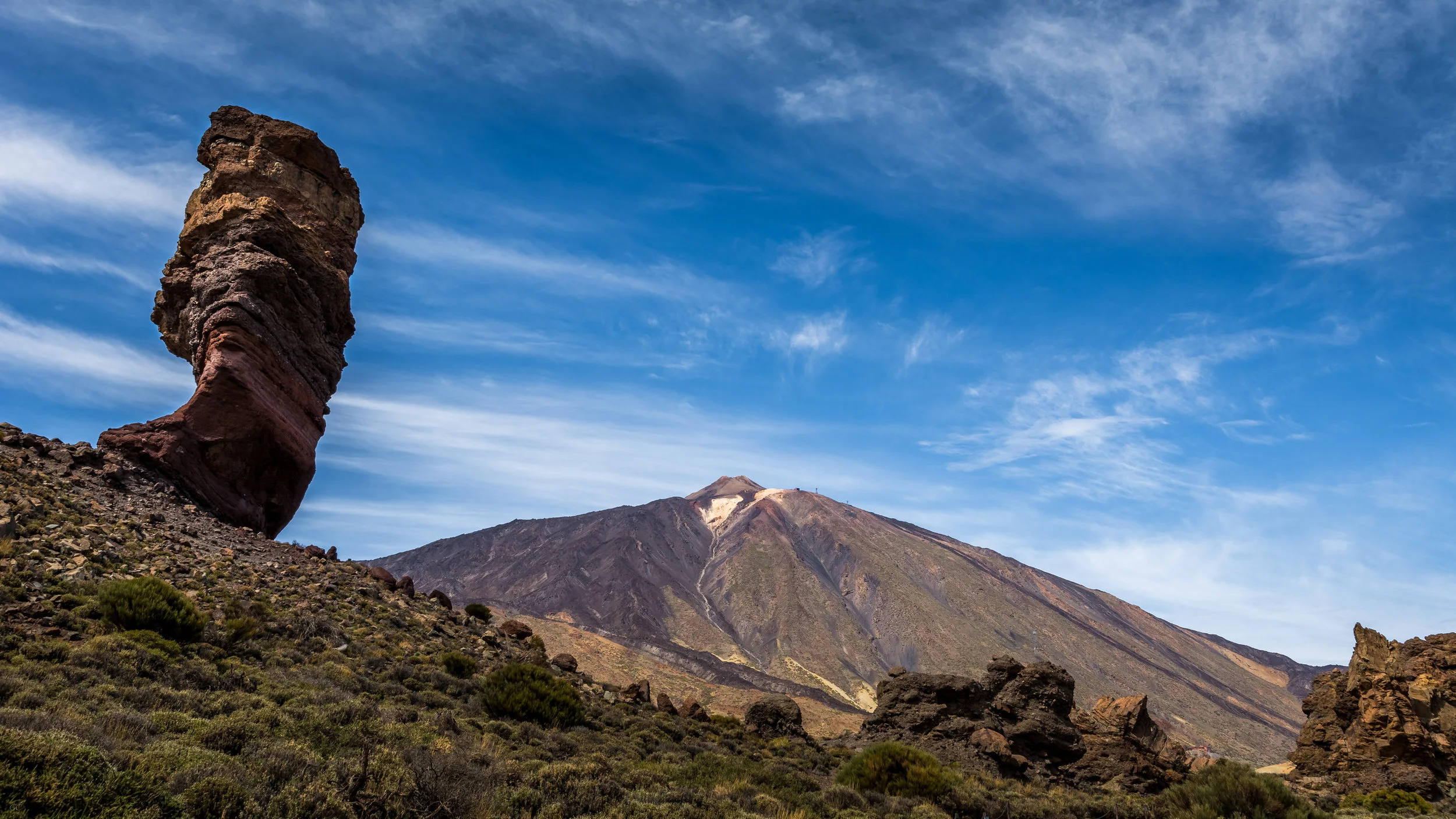 DSC_8249.jpg