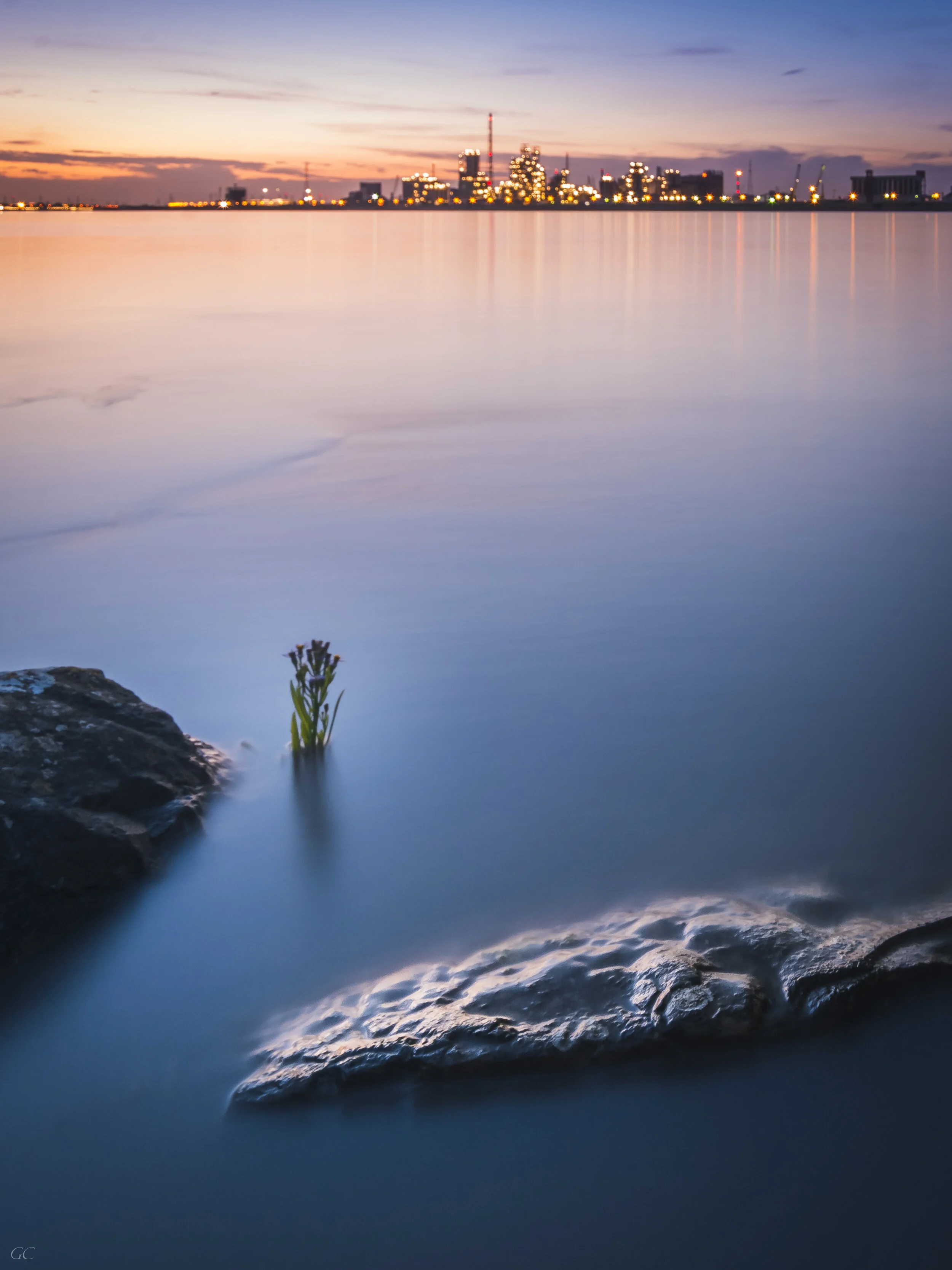 Flower & Industry.jpg