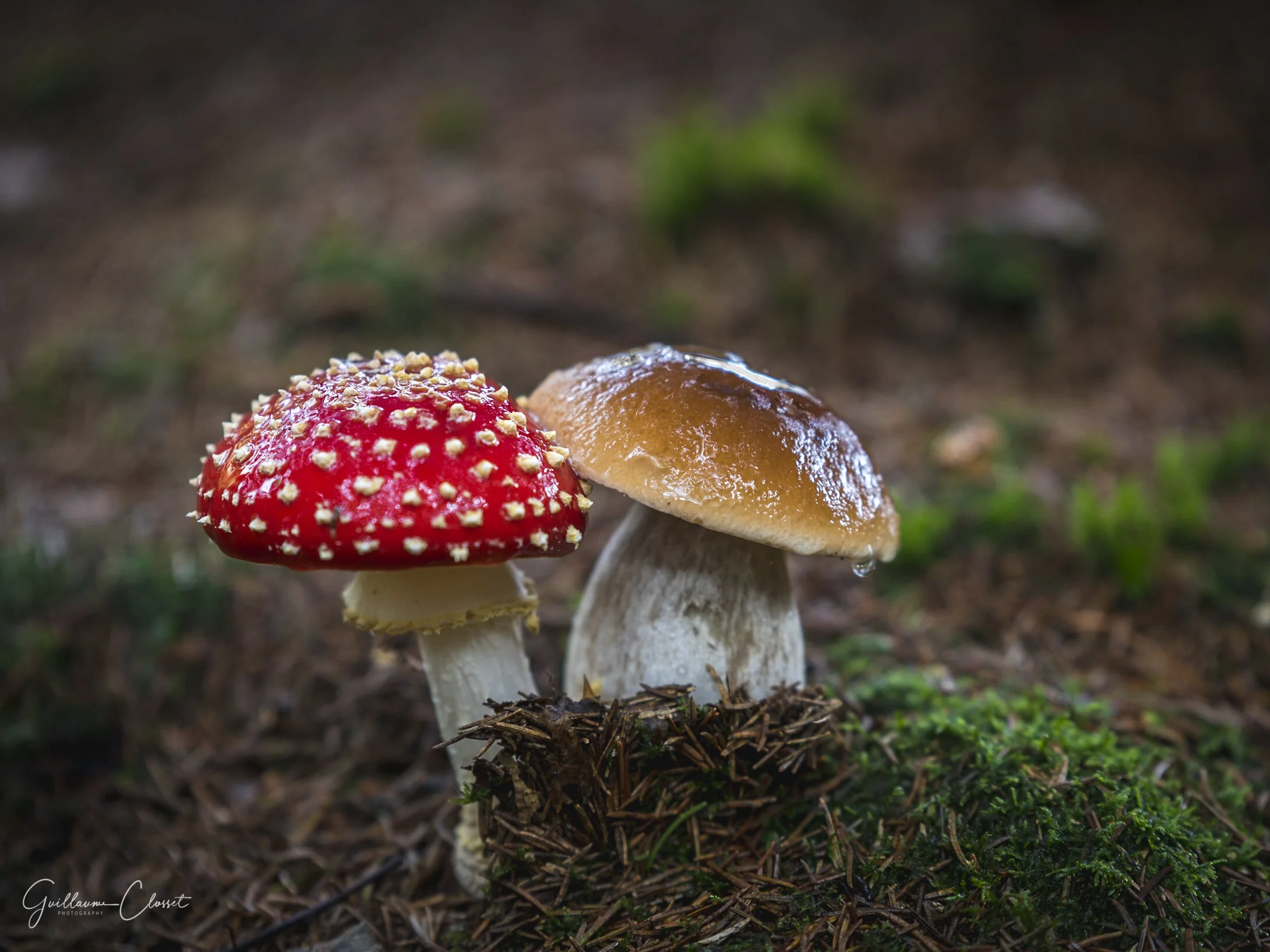 DSC_6137.jpg