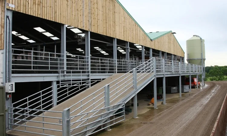 sheep_shed_2.jpg