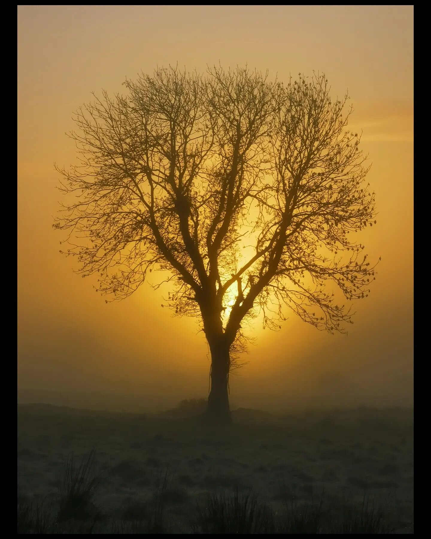 Awakened Sun

Confidence in Pictures Day 12

Thank you all so much for joining me through this journey. Can't tell you how much the support has meant and the process has been incredible for my artistic and personal confidence and creativity. Here's t
