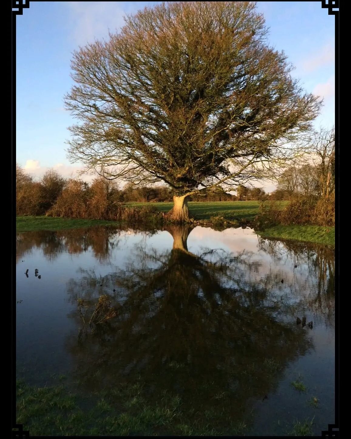 As Above... So Below

Confidence in Pictures Day 8.

Continuing the posts of past images to reignite confidence, inspiration and gratitude! Cant believe we're up to the eight image already!

 #solsticeinspiration21 

This image is &quot;As Above... S