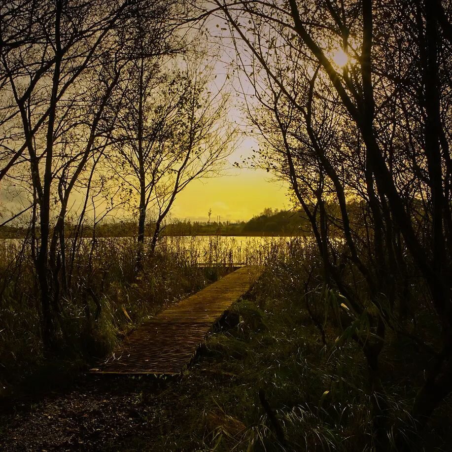 Finding Peace...
When peace comes dropping slow.

Slevins Lough Boardwalk, Mullingar