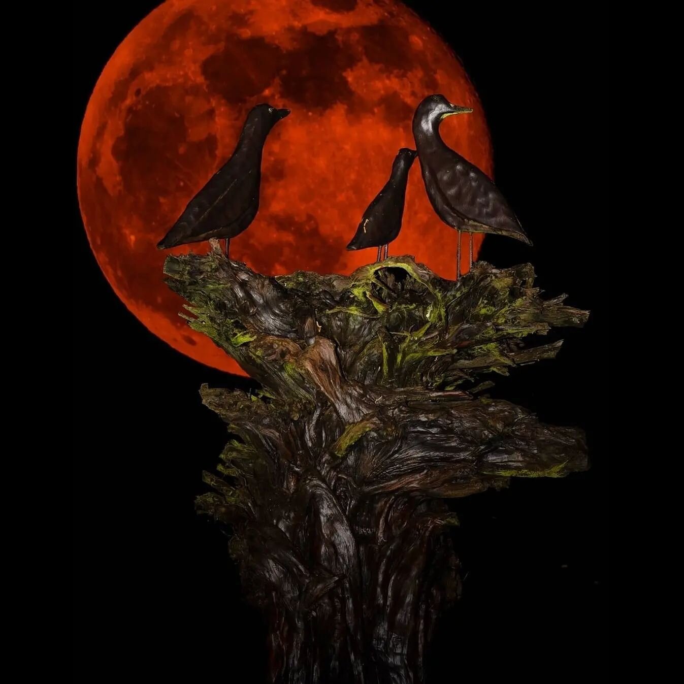 Corncrakes &amp; The Hunters Moon

Confidence in Pictures Day 2.

Following on from yesterday's post, here's the second image that I'm happy to post and say I have pride in the work and in the happy memories it brings!

Thank you all so much for the 