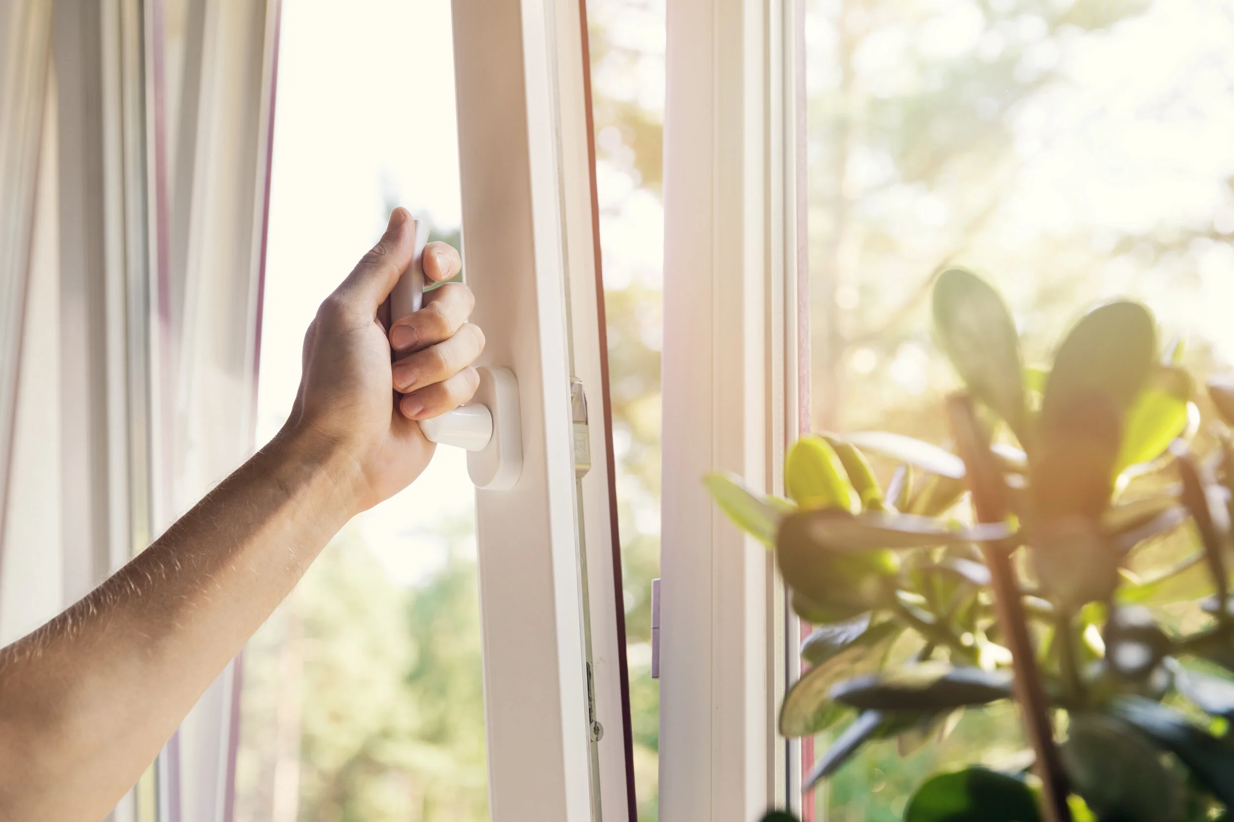 iStock-830679624.jpg