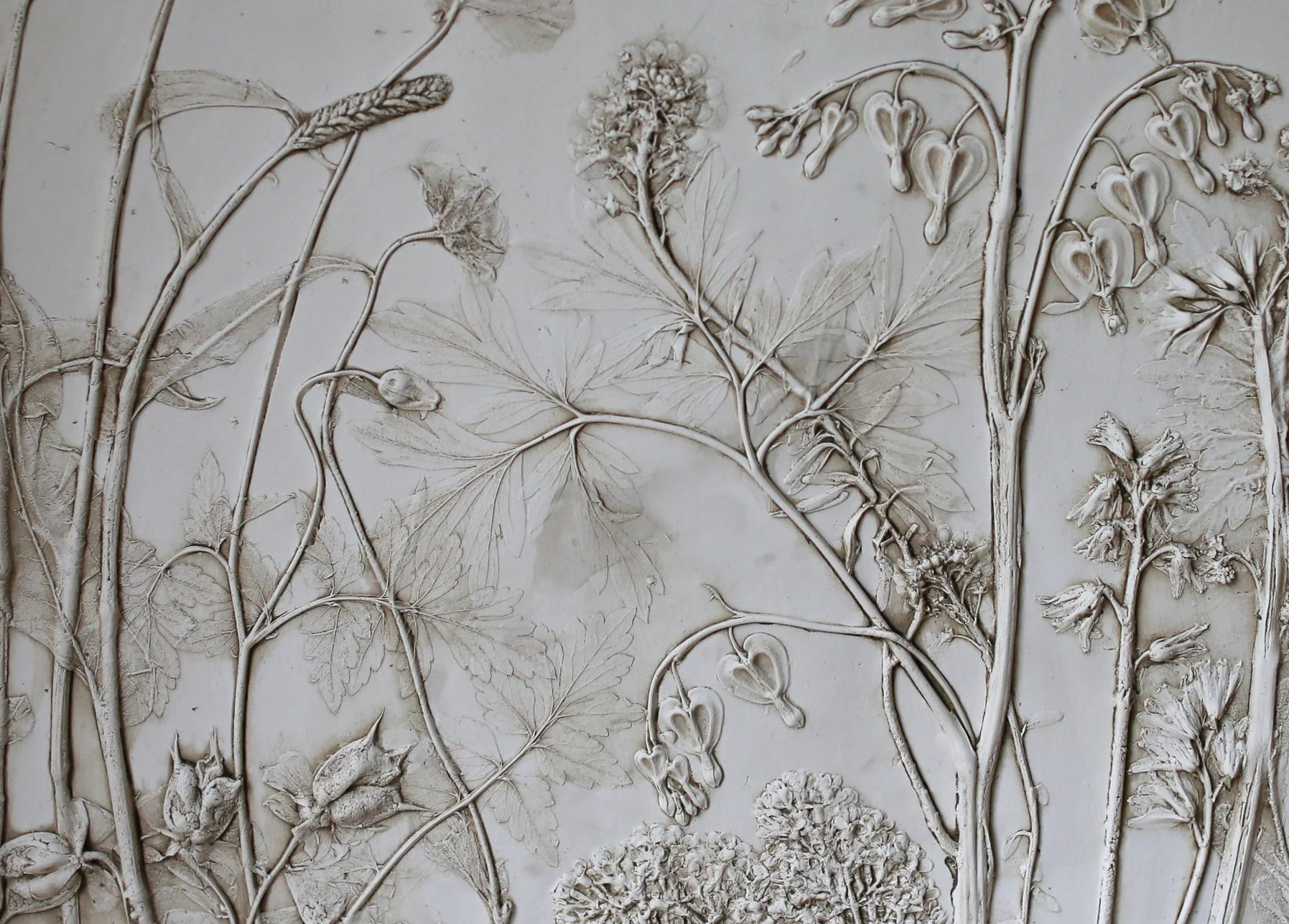 home page main image.jpg