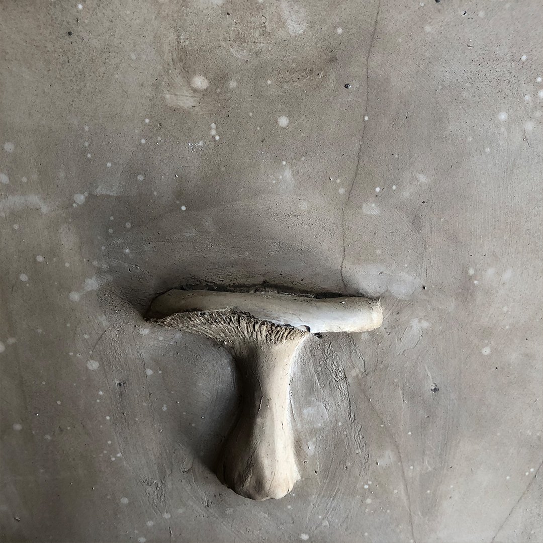 Mushroom 3.jpg