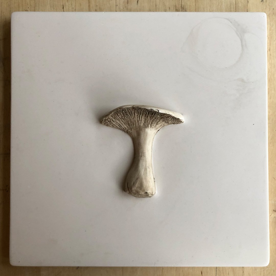 Mushroom 5.jpg
