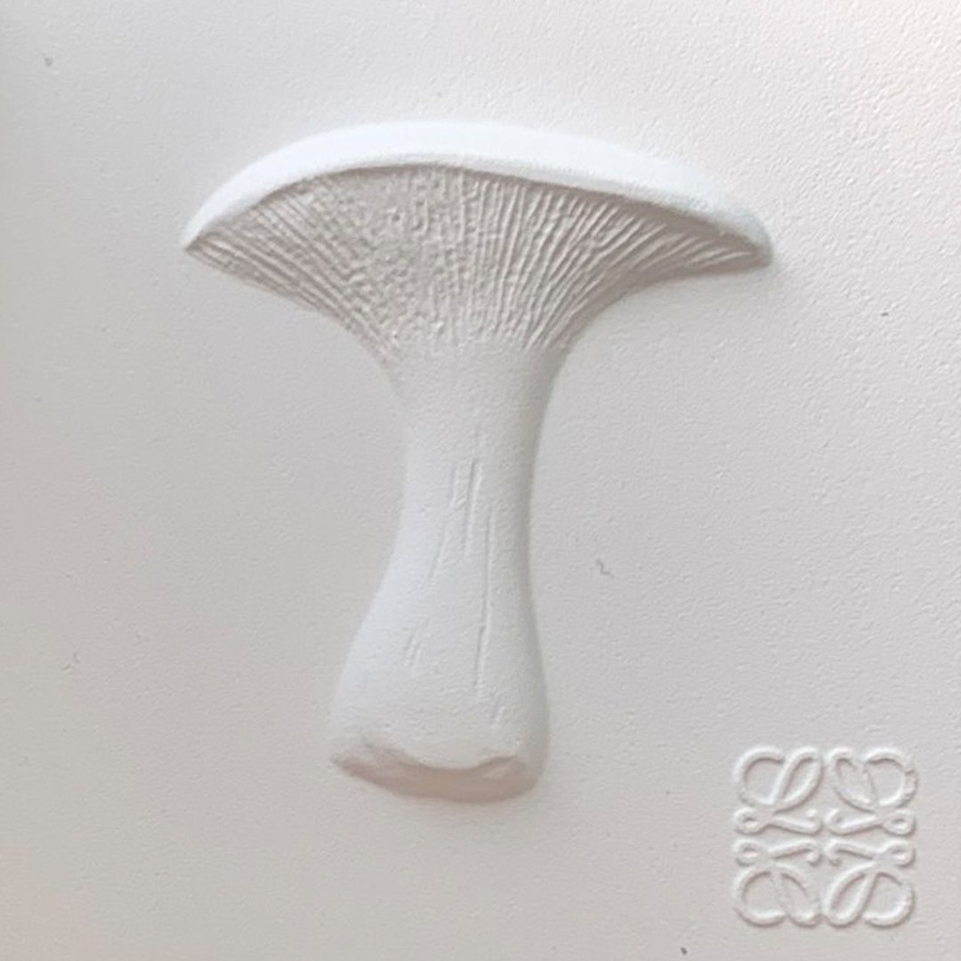Mushroom 6.jpg