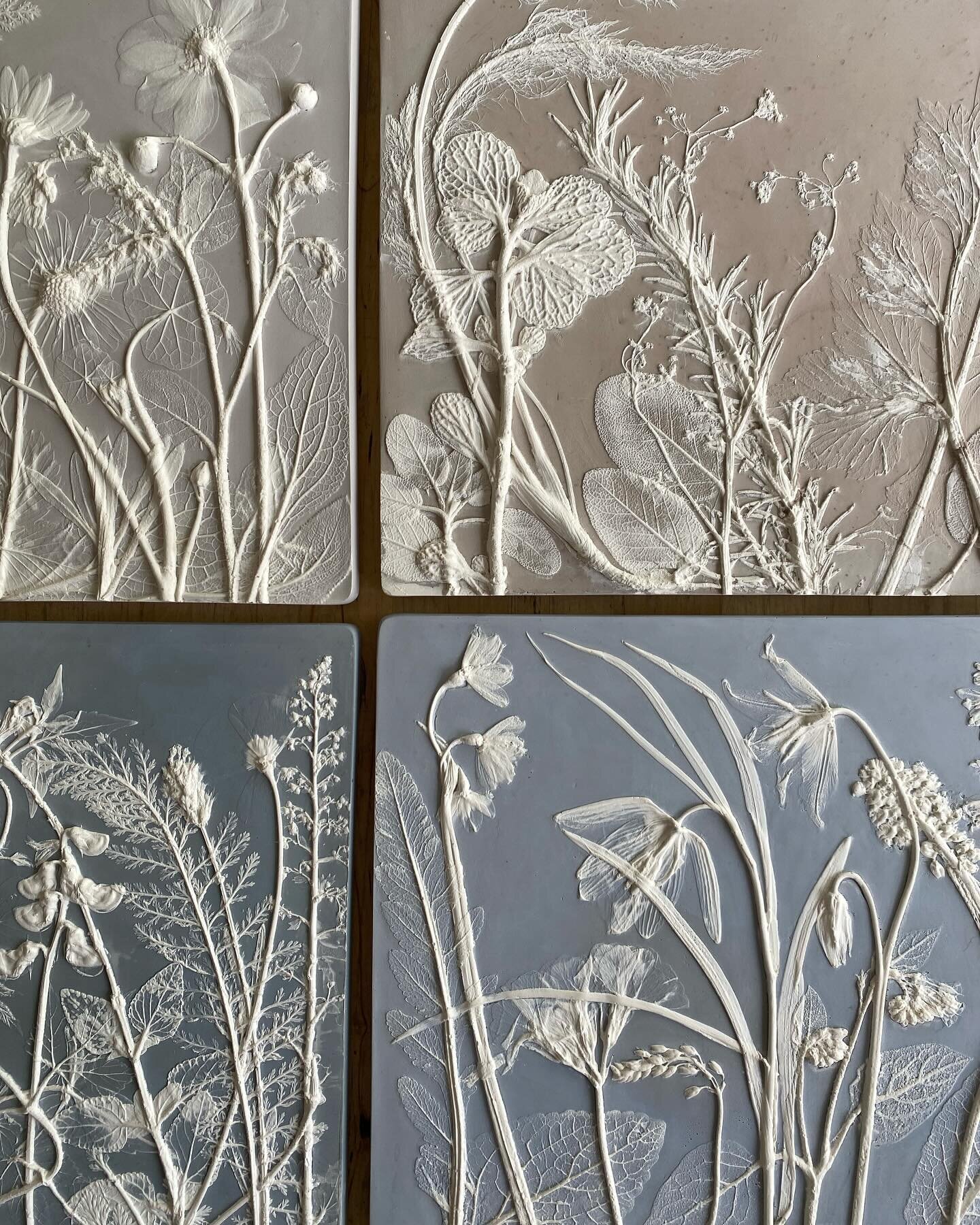Impressions of Spring and Summer!
#botanicalbasrelief