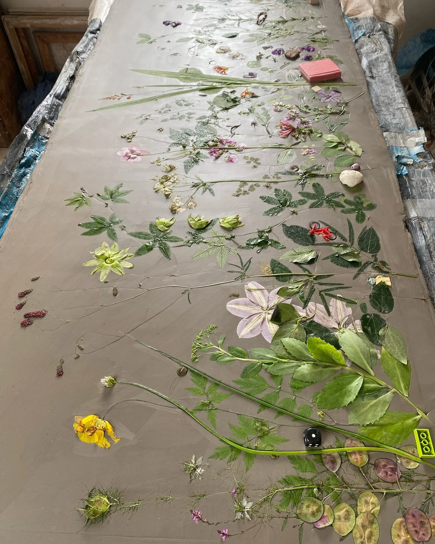 Gallery — Rachel Dein