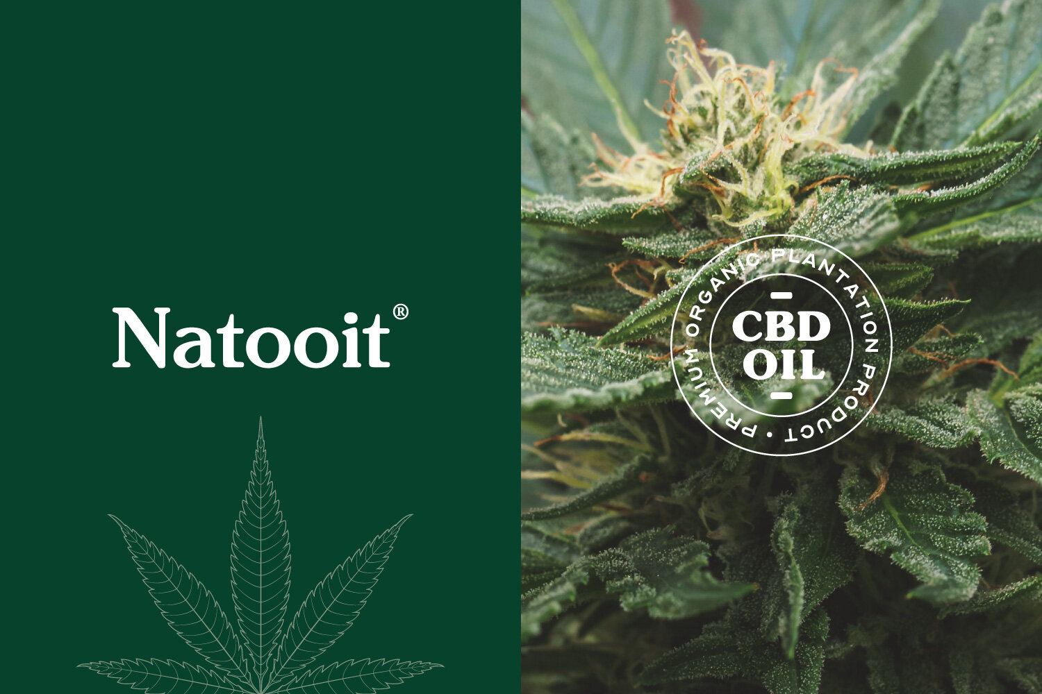 Natooit CBD