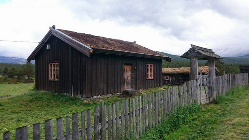 urskog.jpg