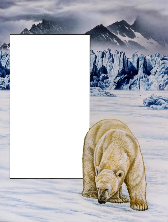zalewski polarbear small.jpg