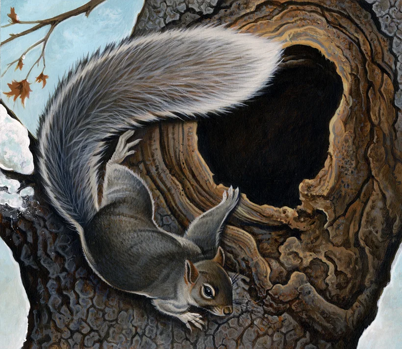 zalewski squirrel small.jpg