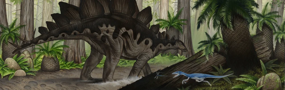zalewski stegasaurus small.jpg