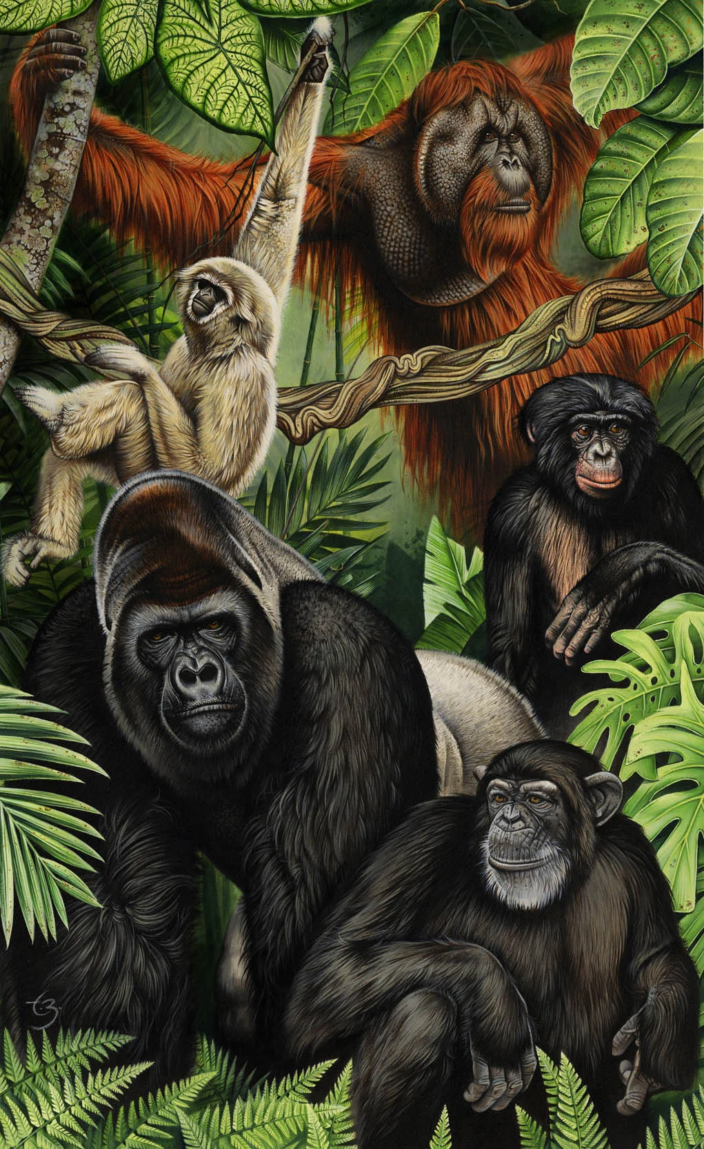 zalewski apes small.jpg
