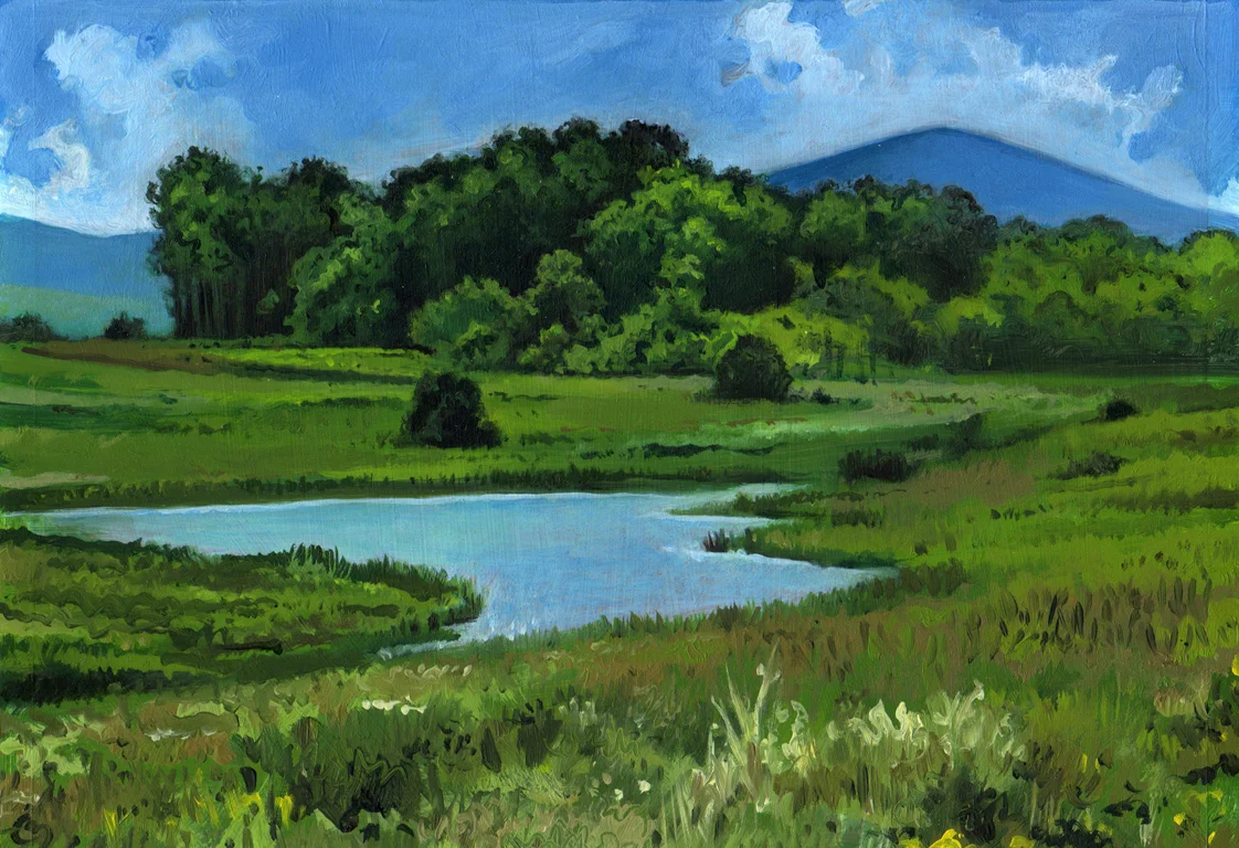 2field 2 copy 2.jpg